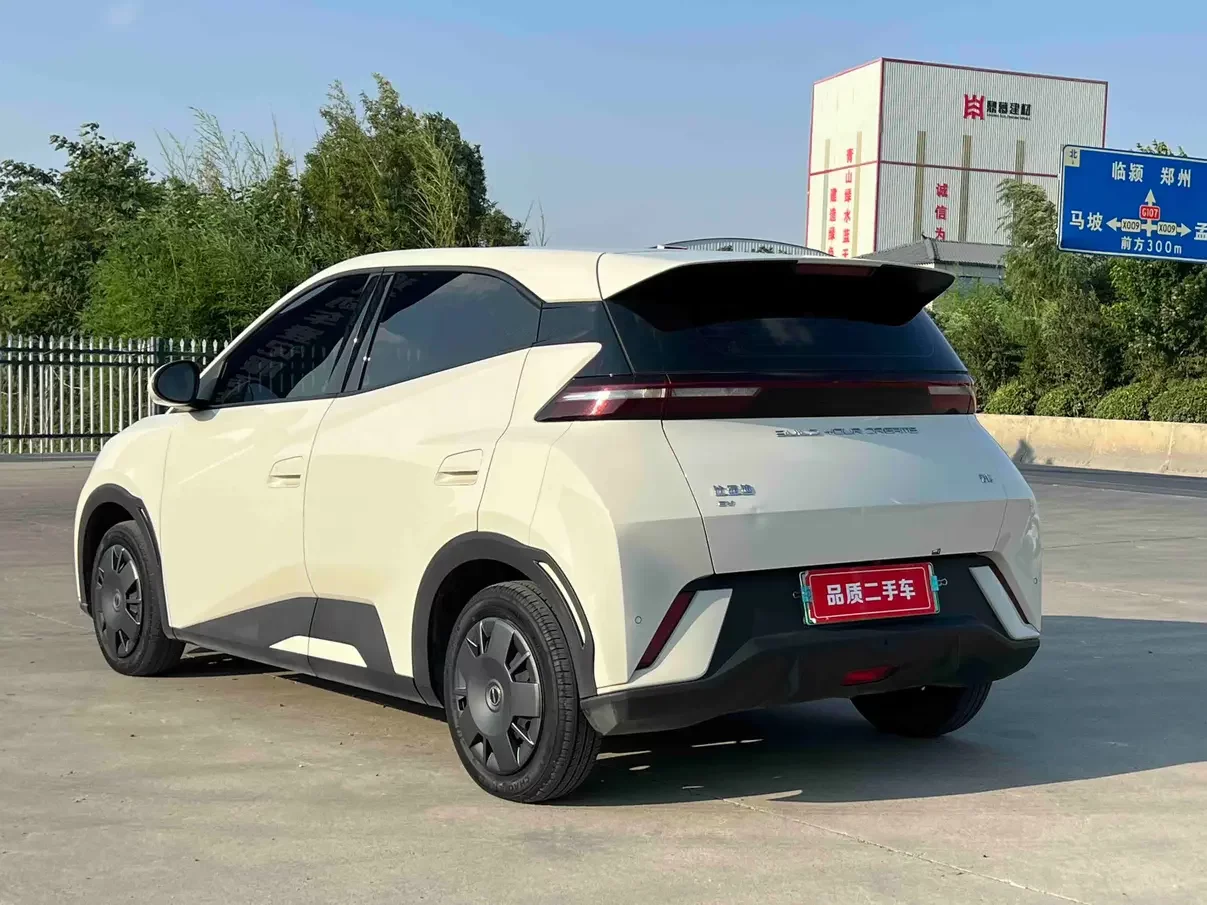 BYD seagull