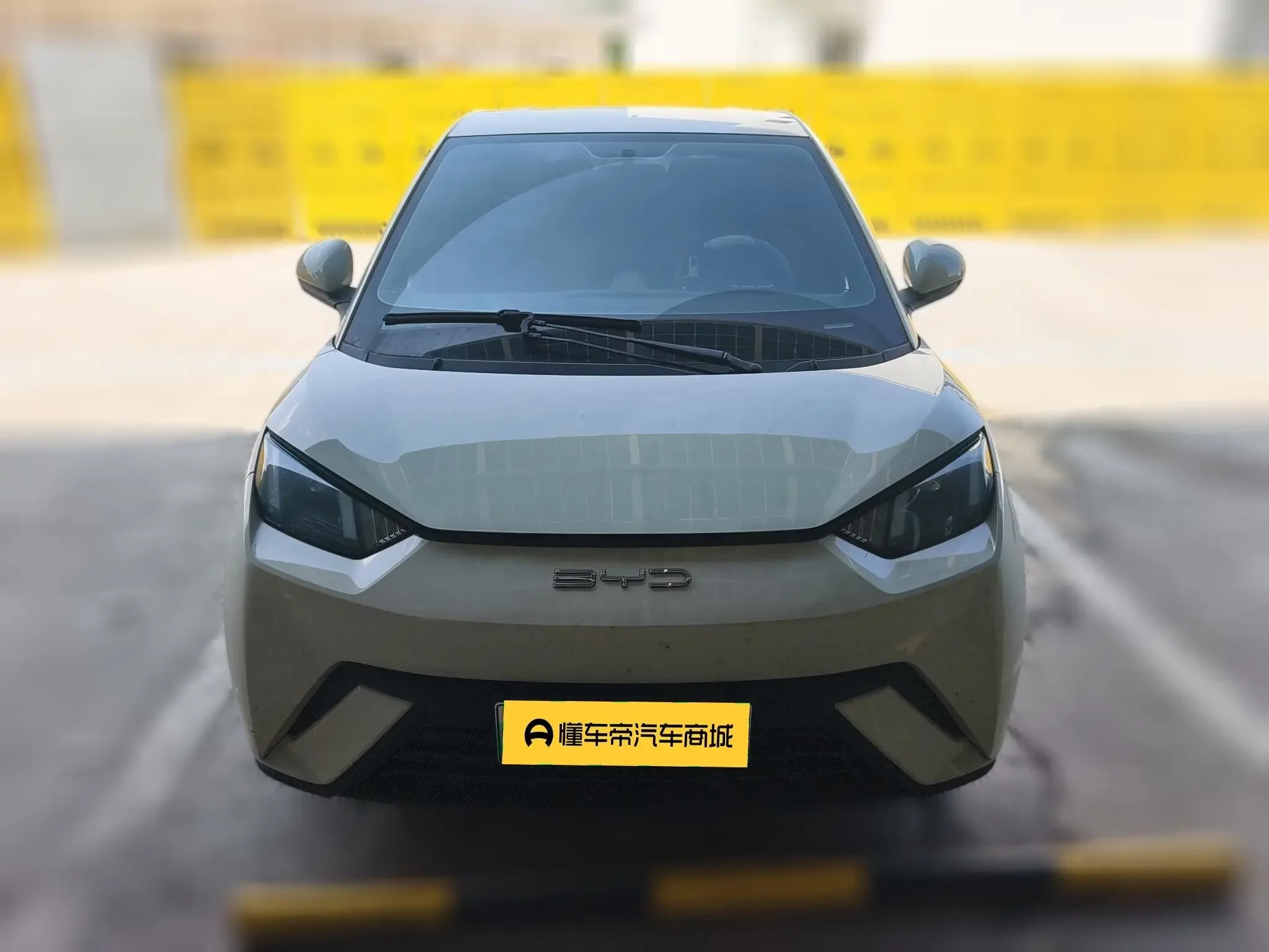 BYD seagull