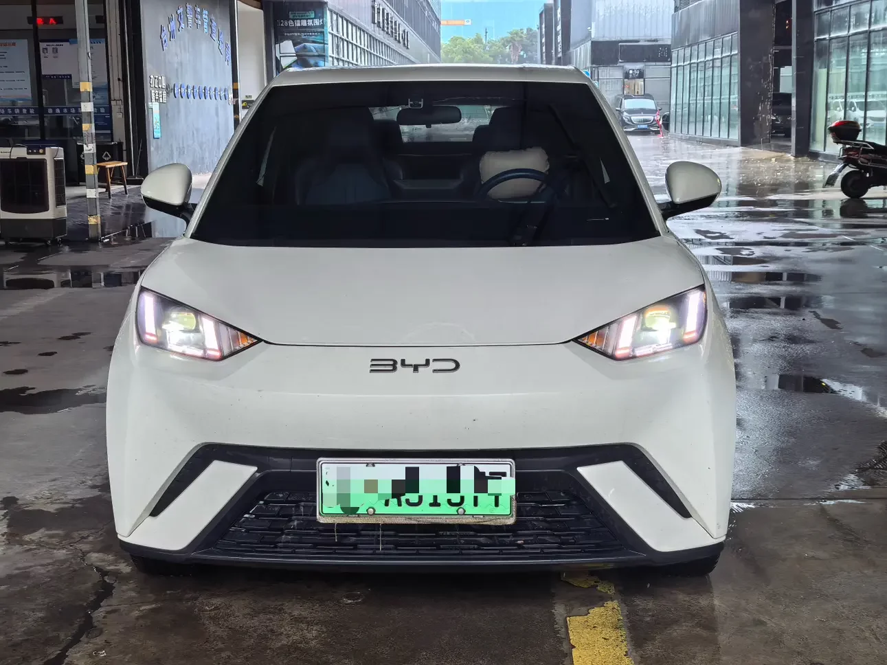 BYD seagull