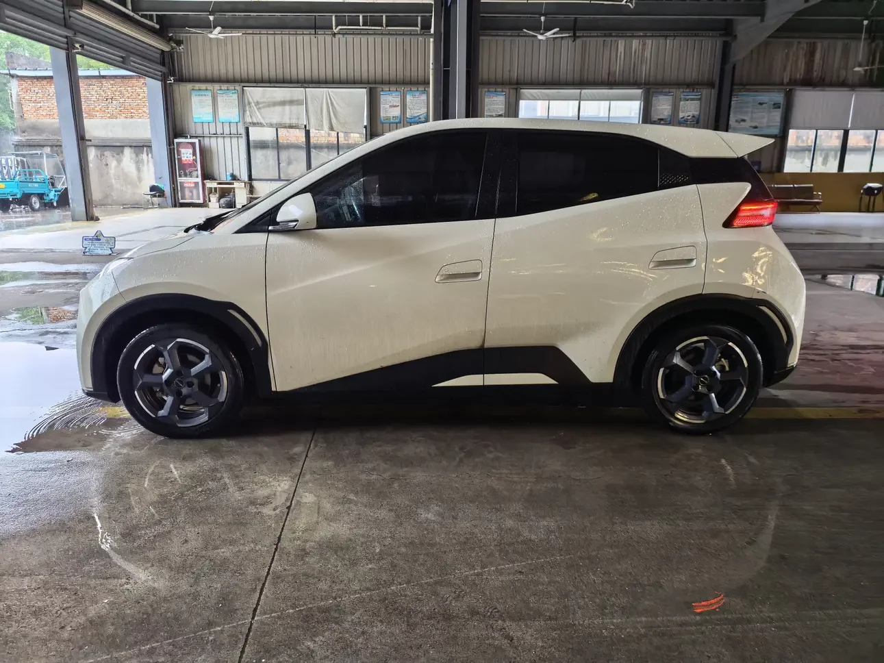 BYD seagull