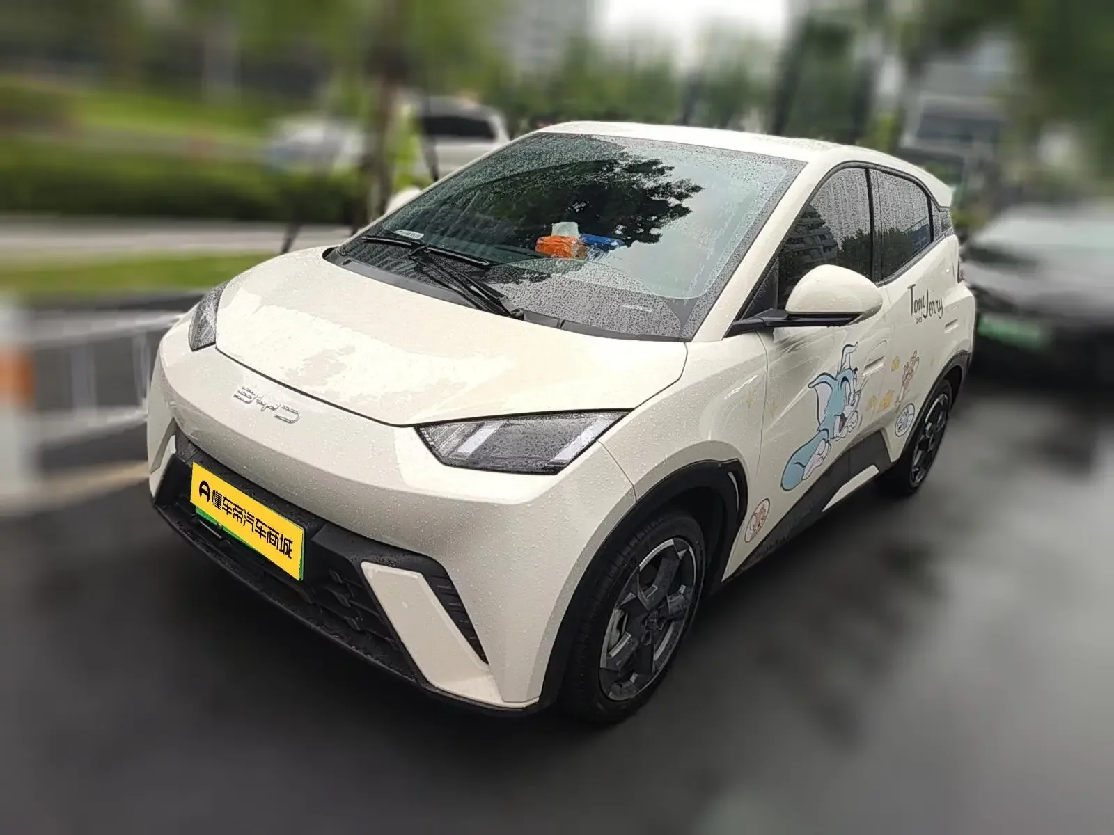 BYD seagull