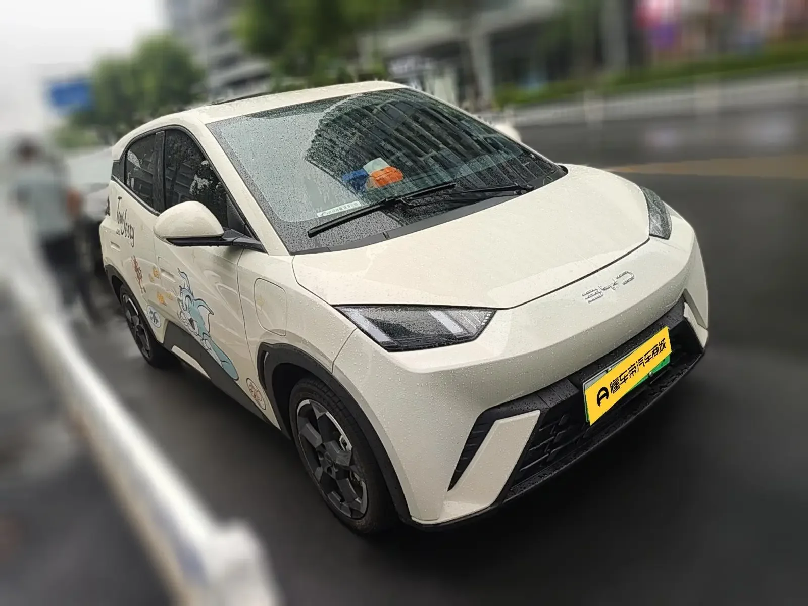 BYD seagull