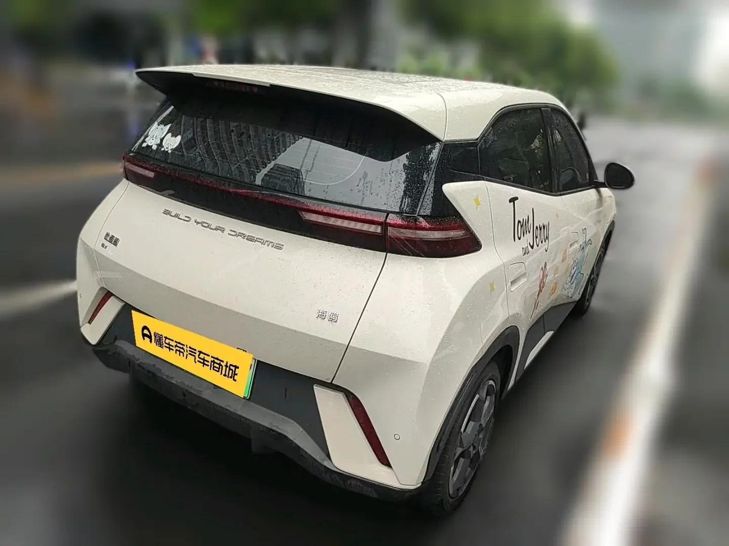 BYD seagull