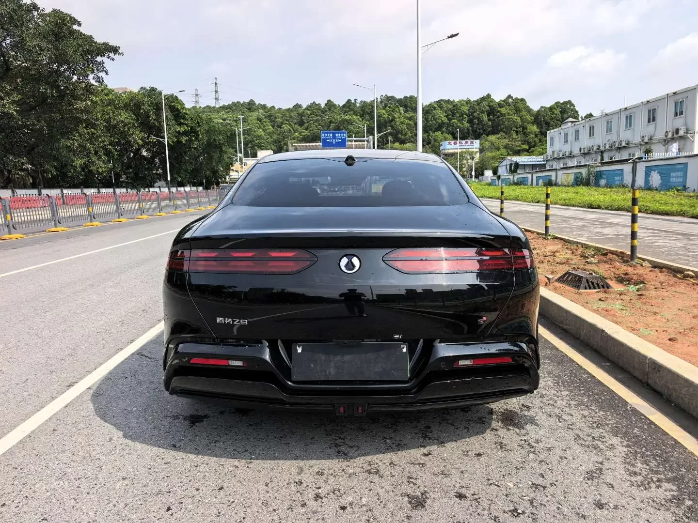 Denza Tengzhong Z9 DM