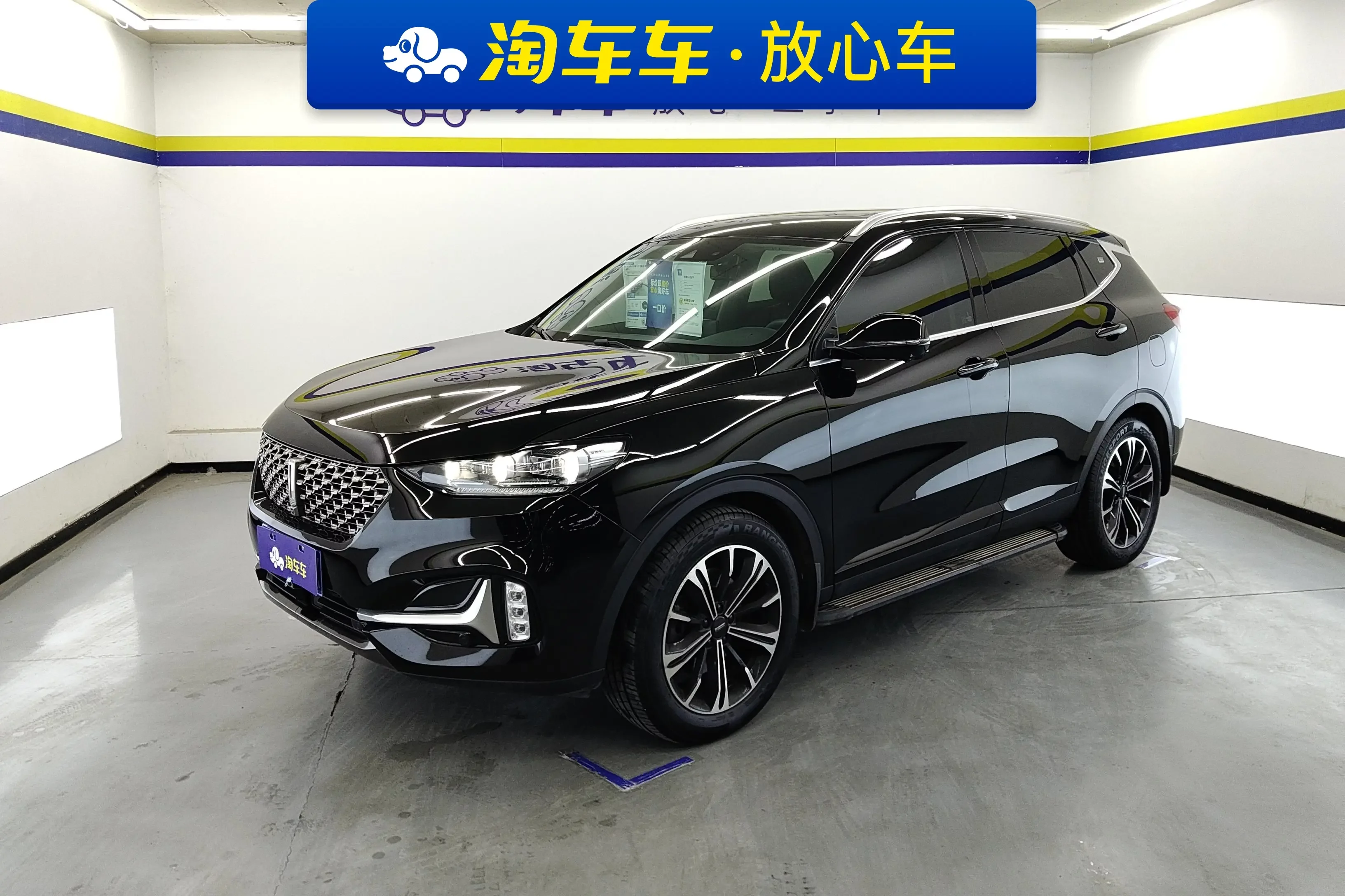 Wey Wei brand VV6