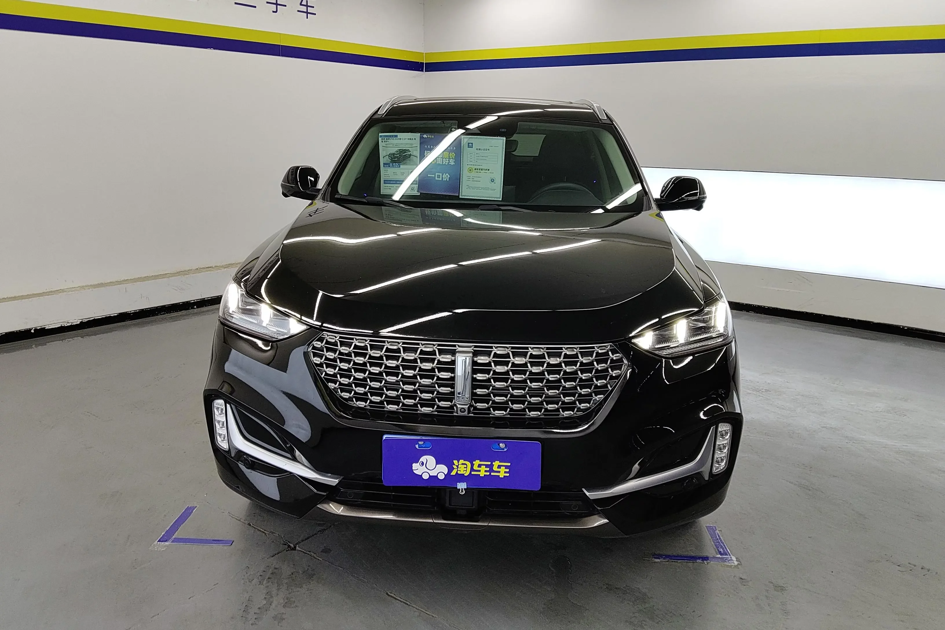 Wey Wei brand VV6