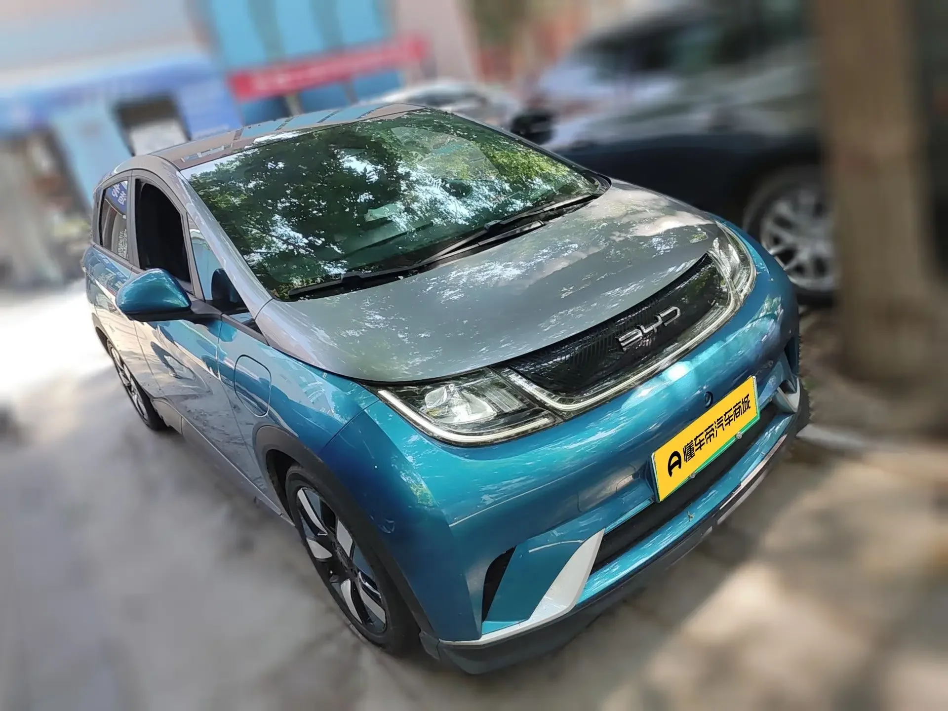BYD dolphin