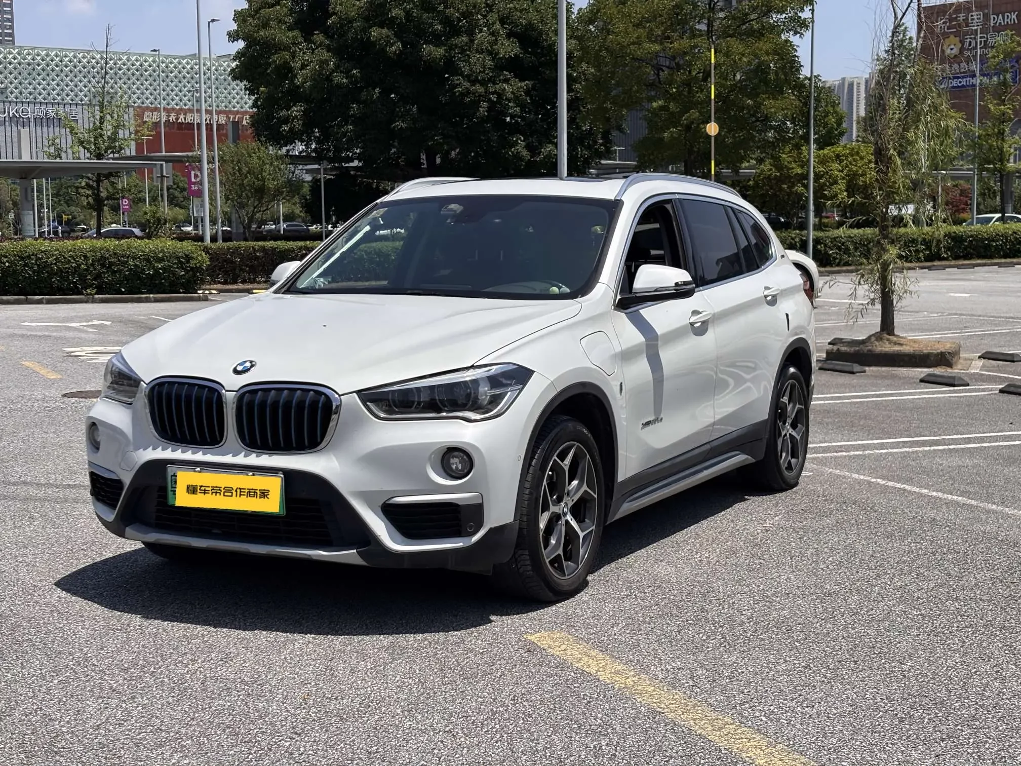 BMW X1 PHEV