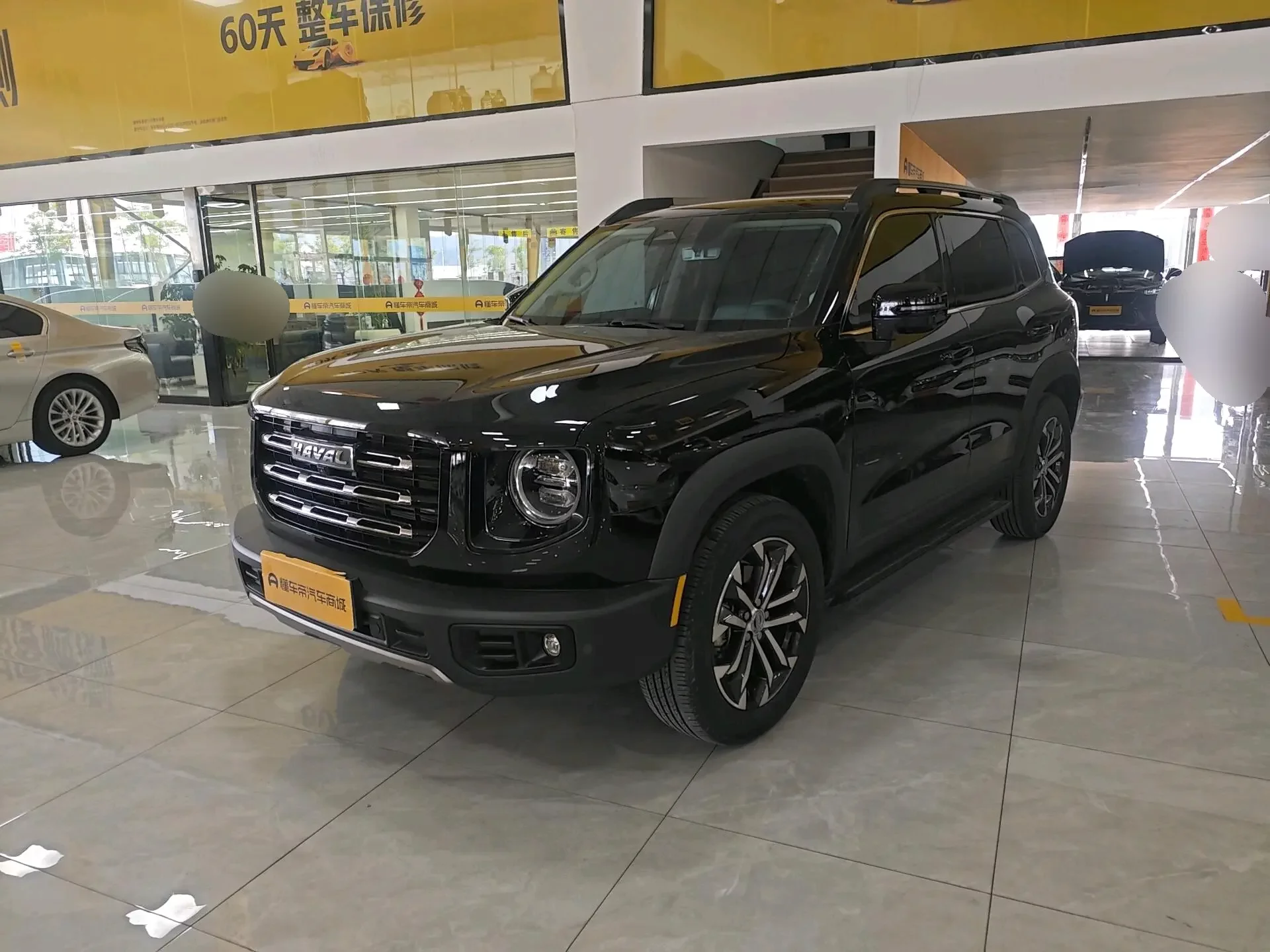 Haval Dargo