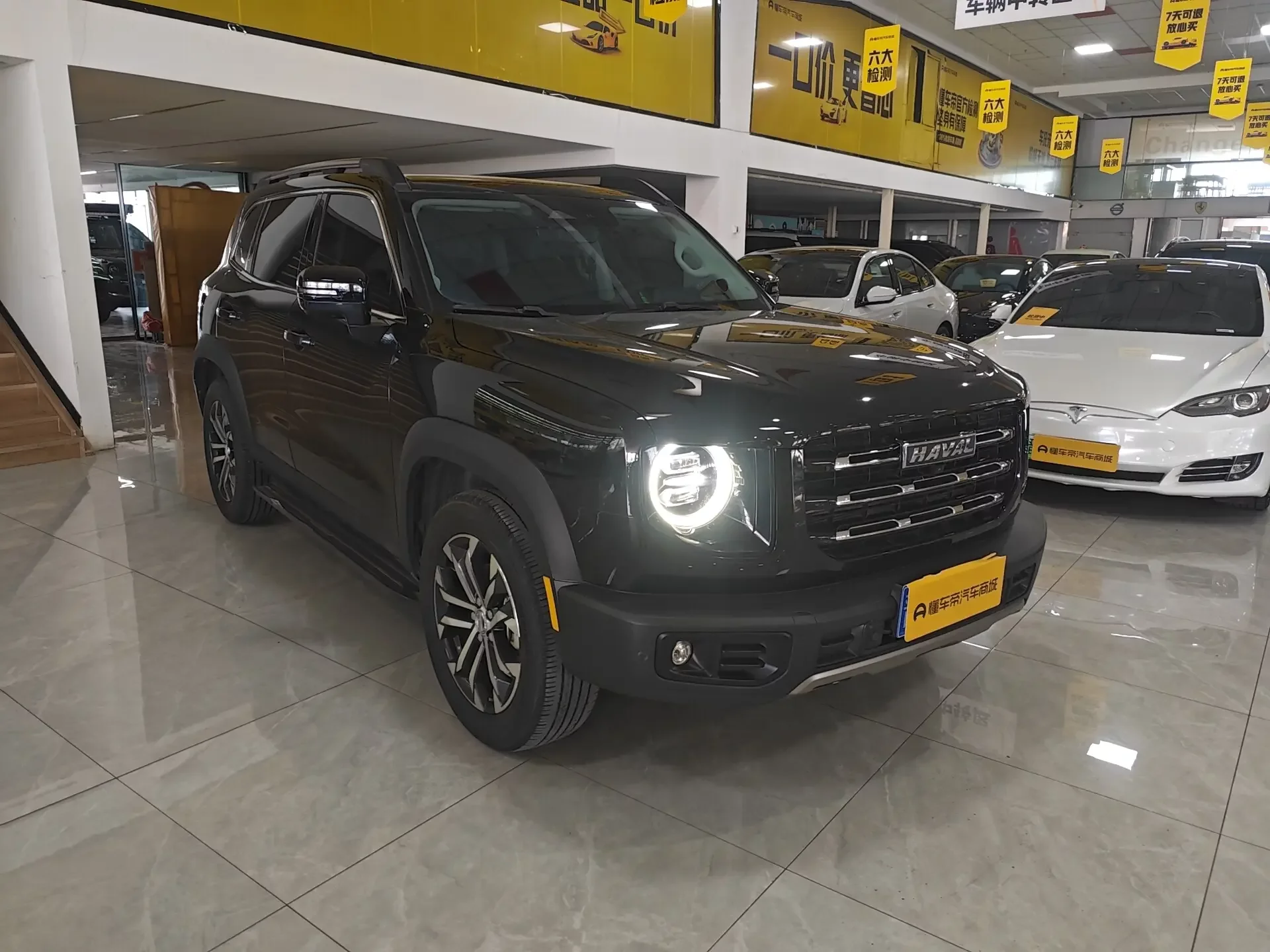 Haval Dargo