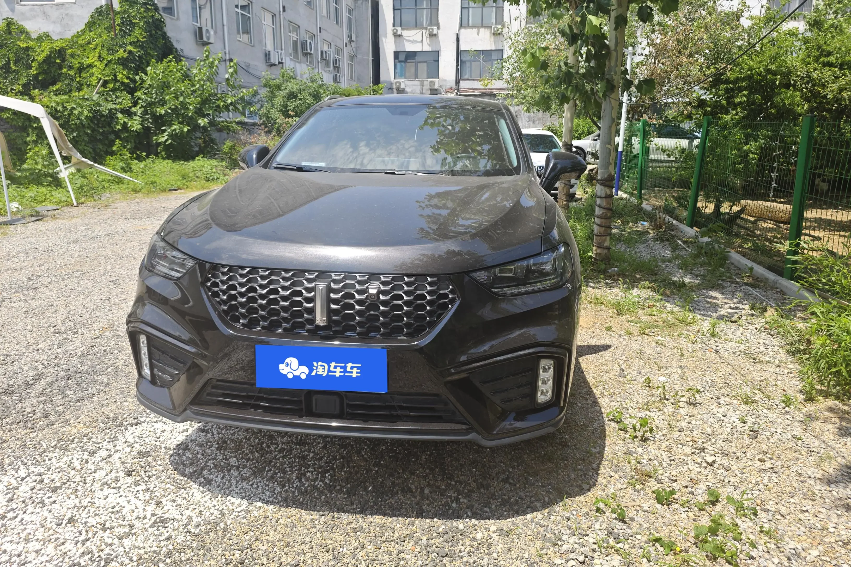 Wey Wei brand VV5