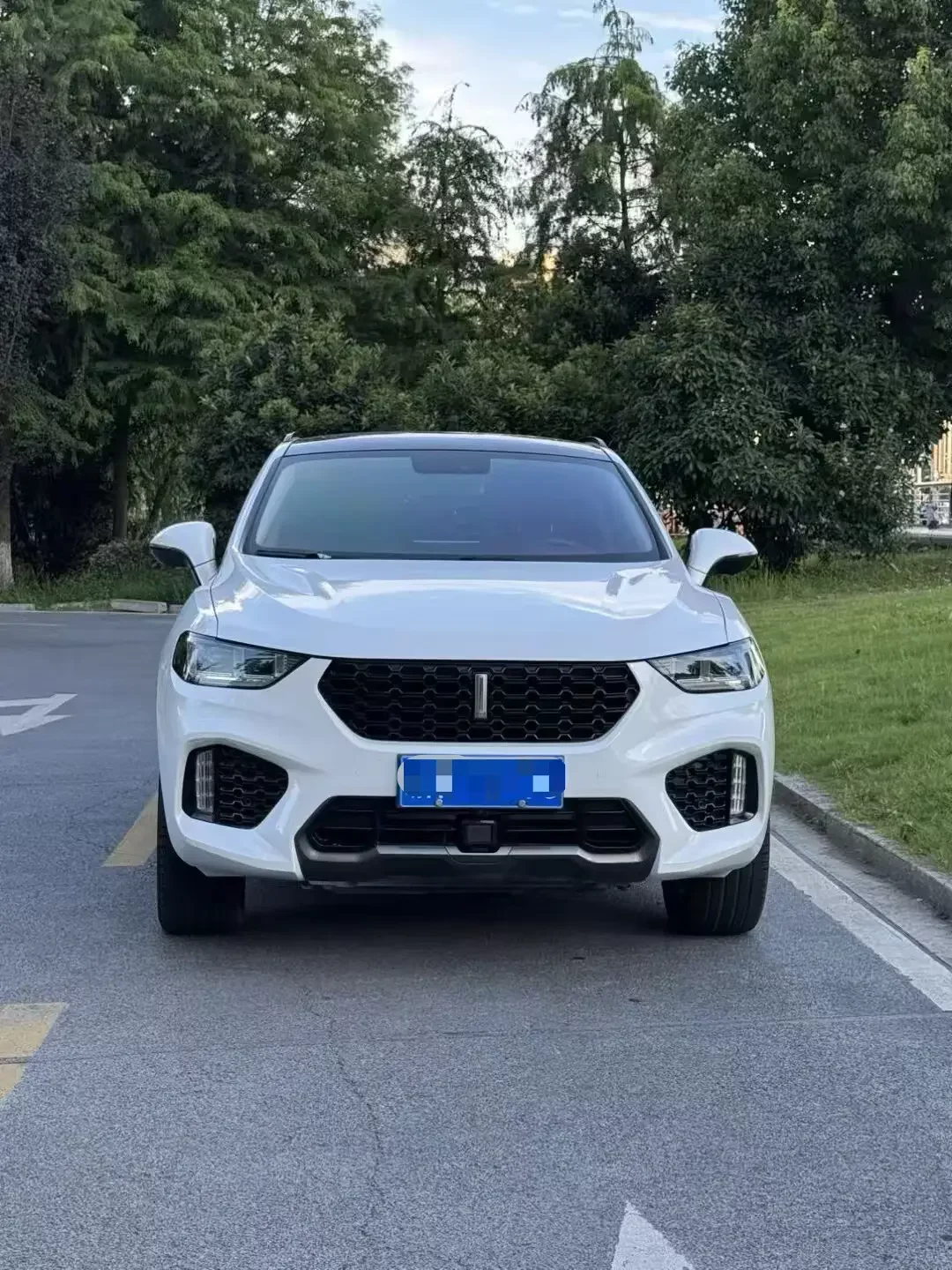 Wey Wei brand VV5