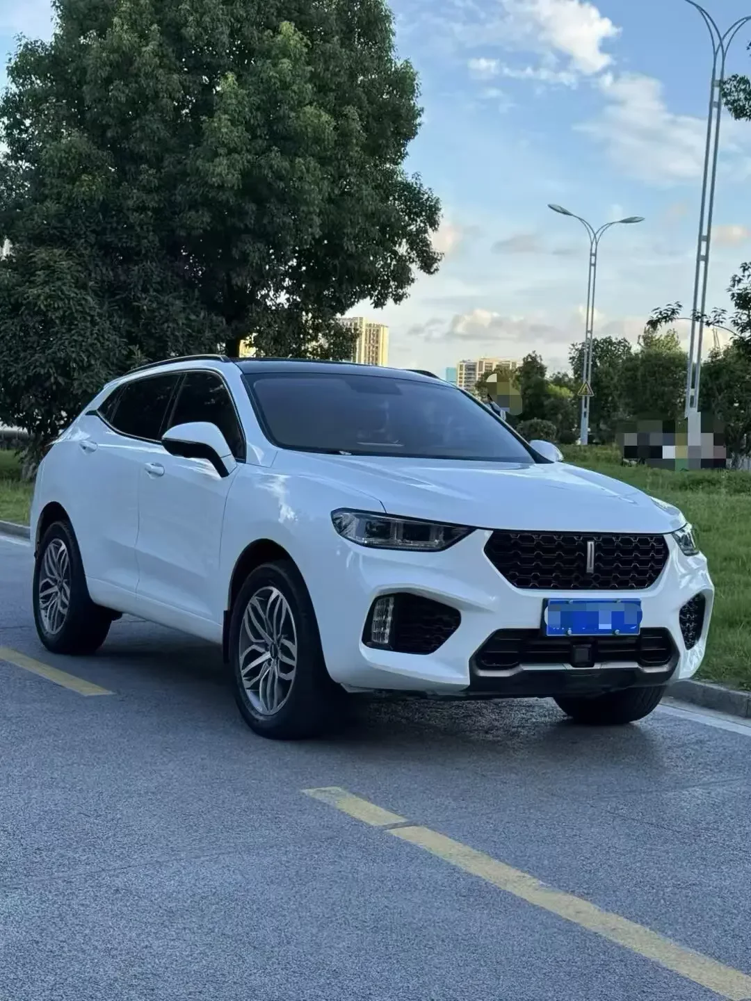 Wey Wei brand VV5