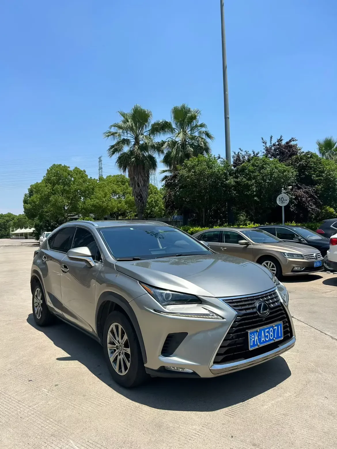Lexus NX