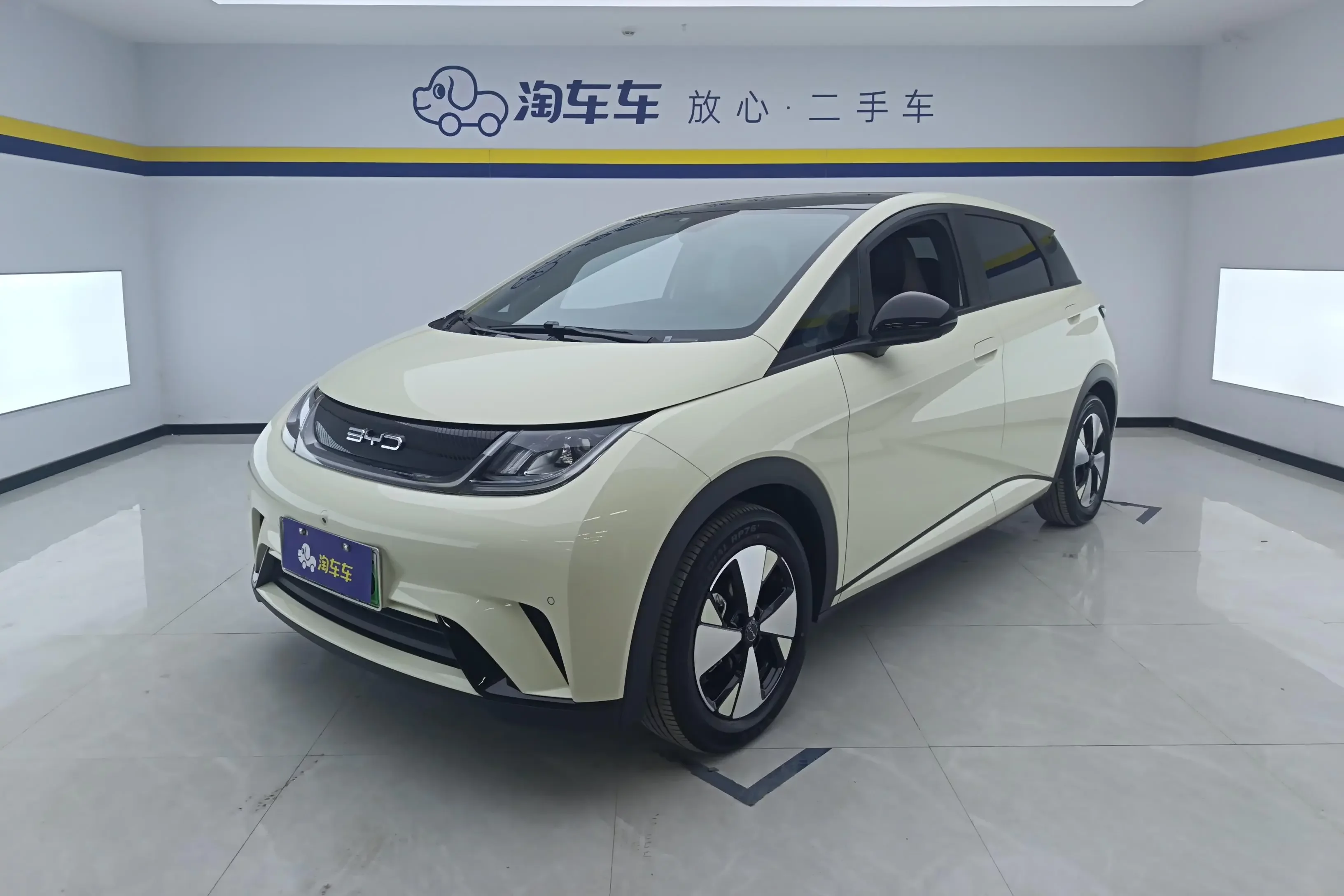 BYD dolphin