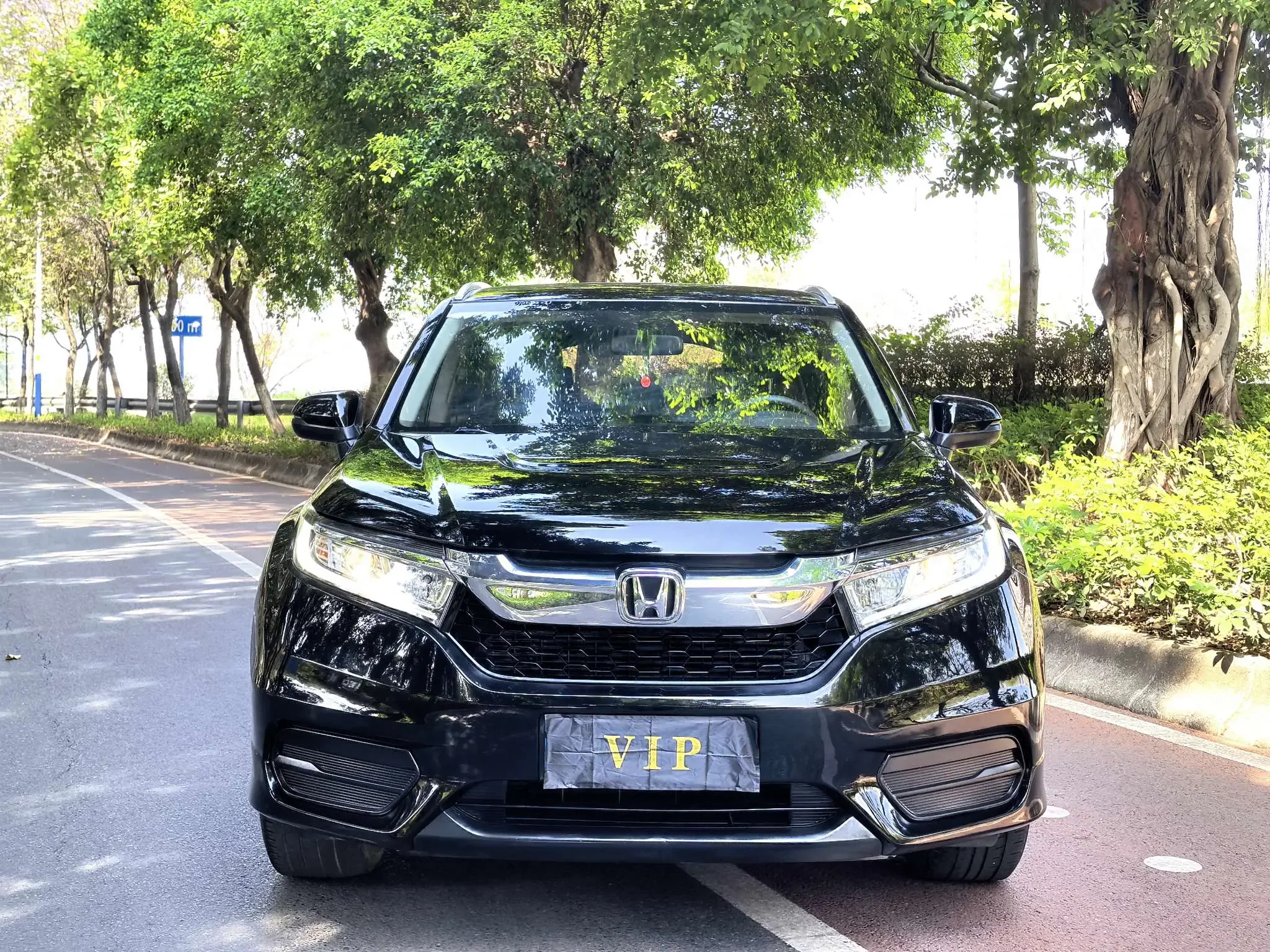 Honda Avancier