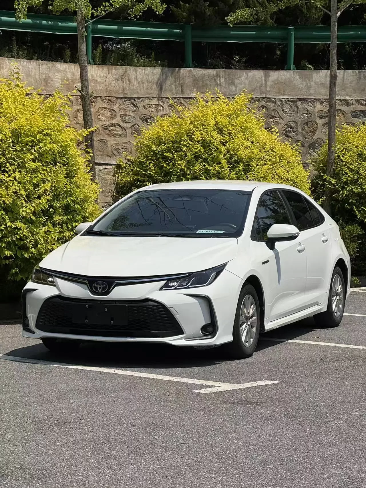 Toyota Levin (Lei Ling)  из Китая