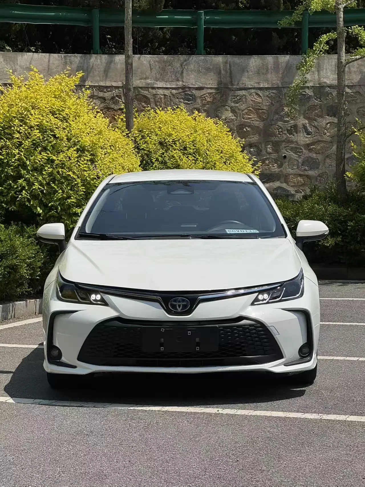 Toyota Levin (Lei Ling)  из Китая