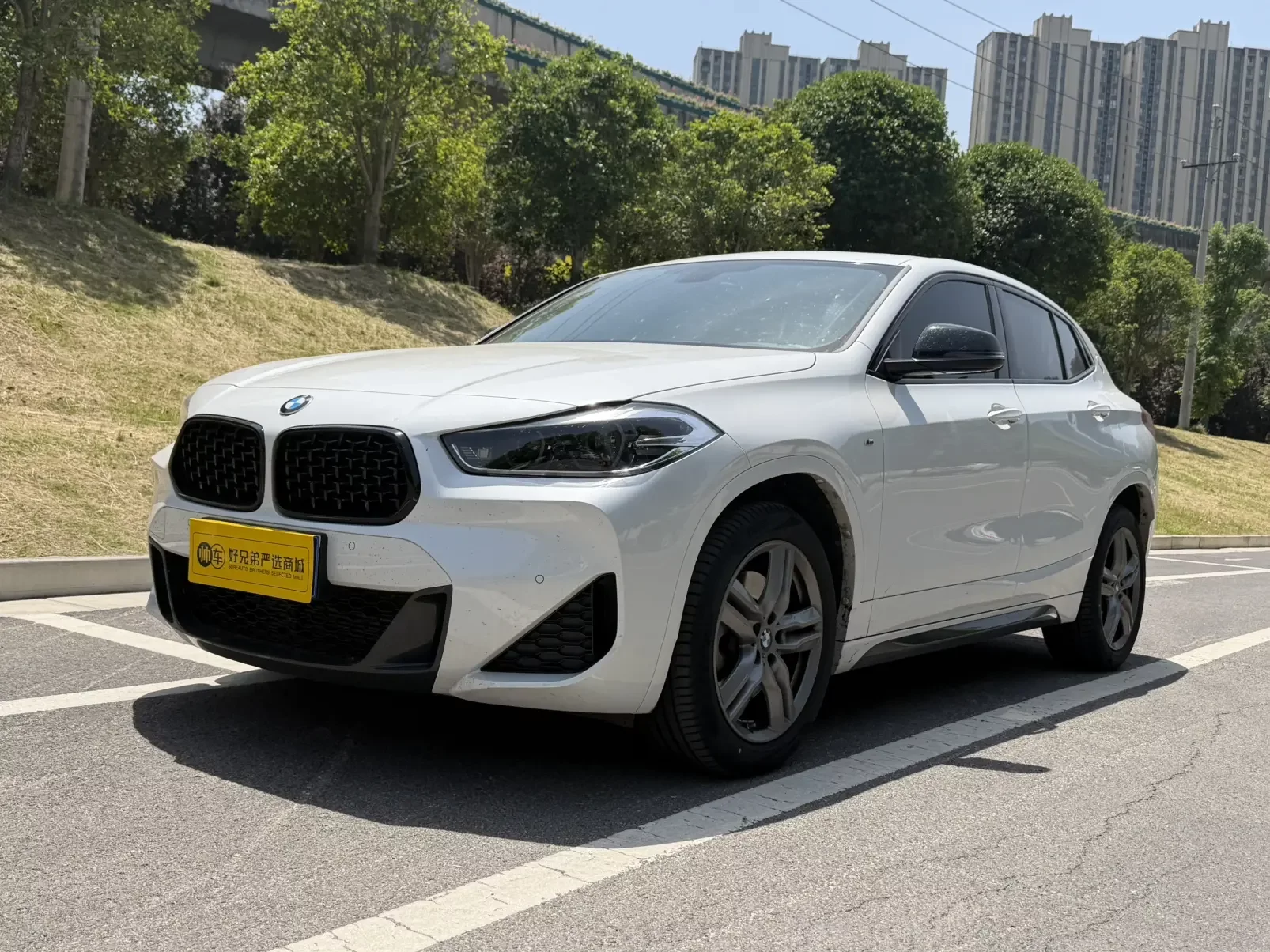 BMW X2