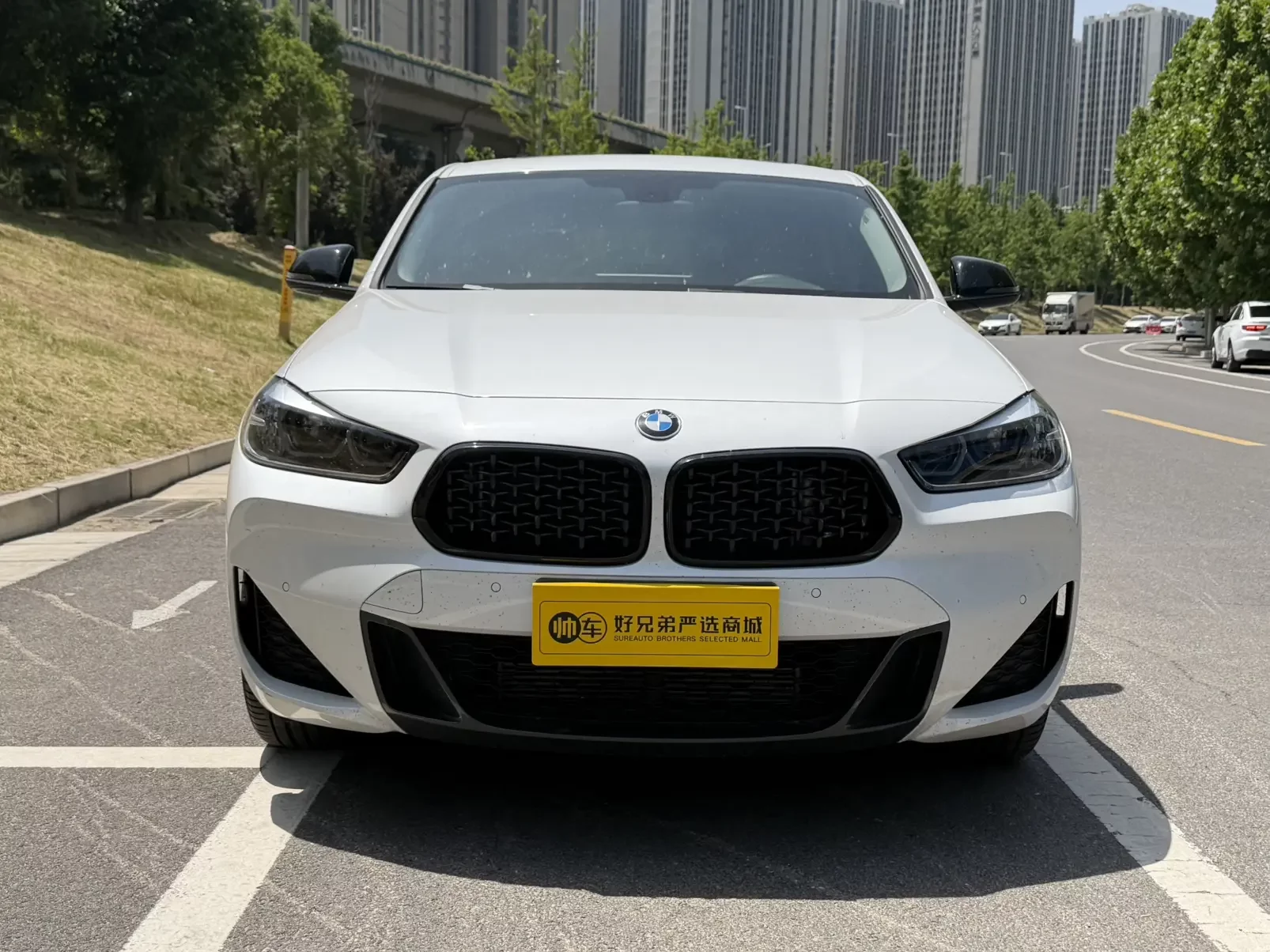 BMW X2