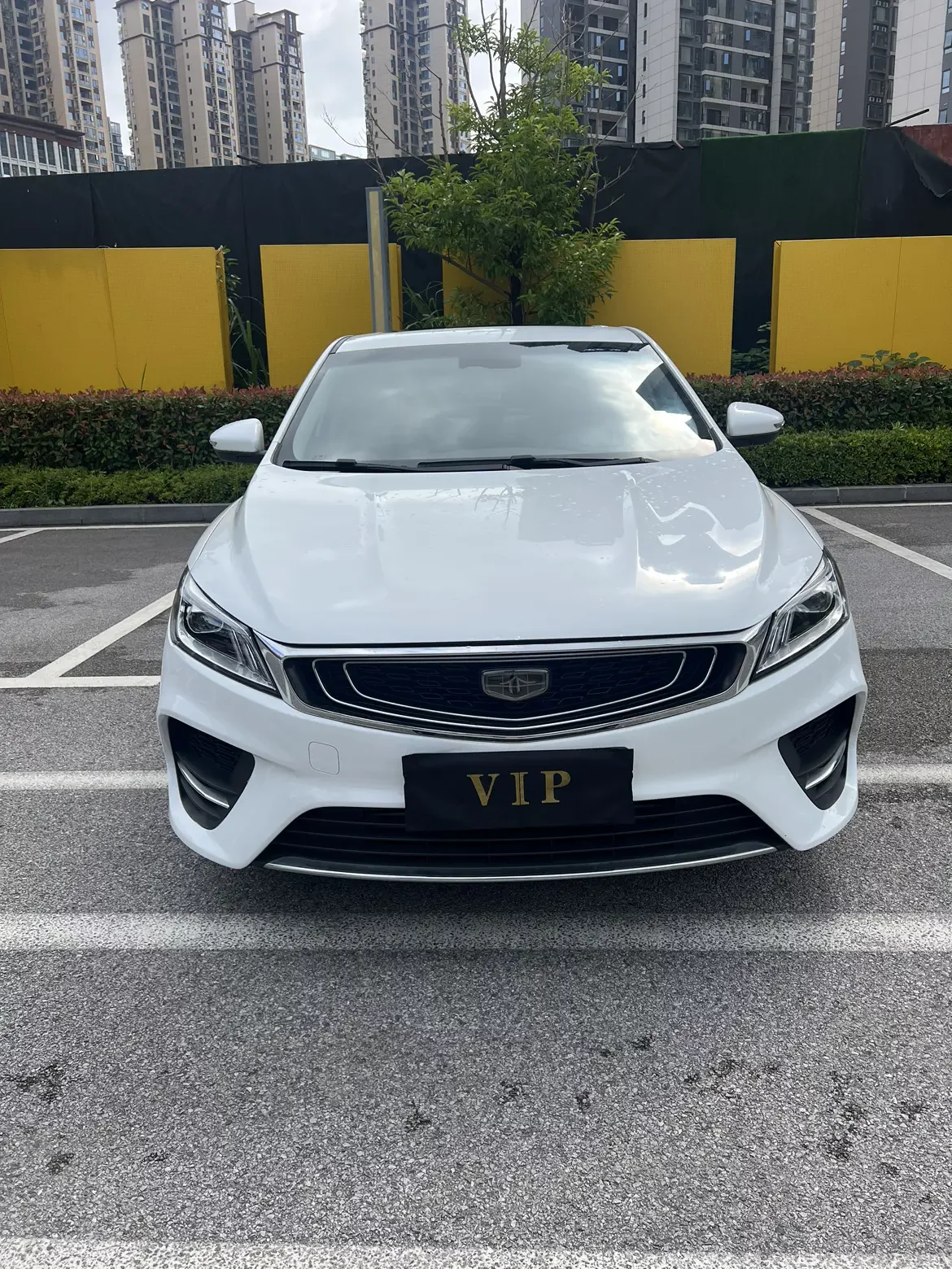Geely Binrui
