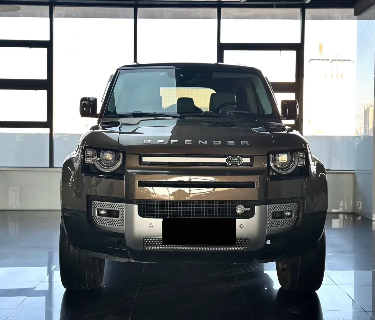 Land Rover guard