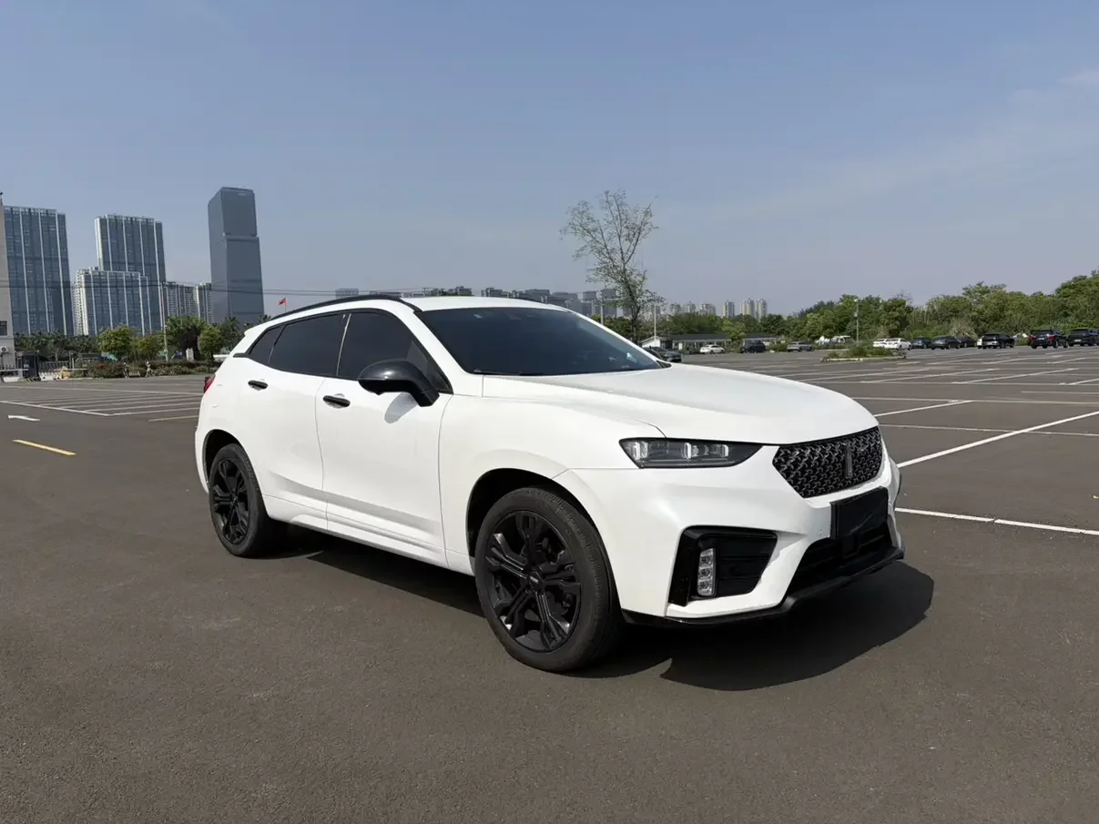 Wey Wei brand VV7