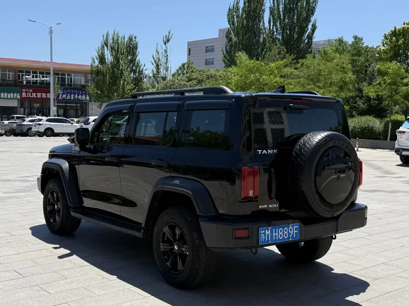 Tank 300