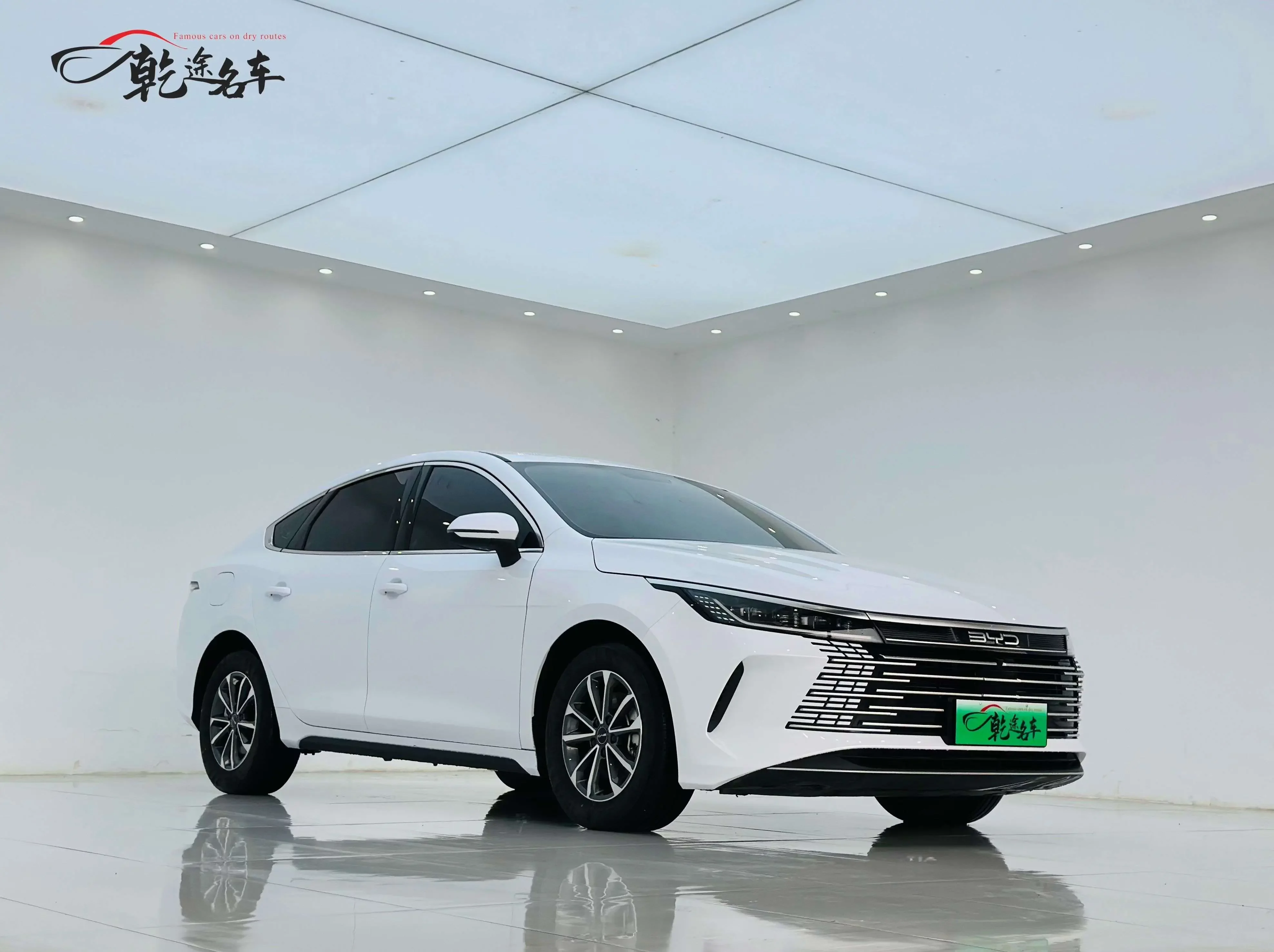 BYD Destroyer 05