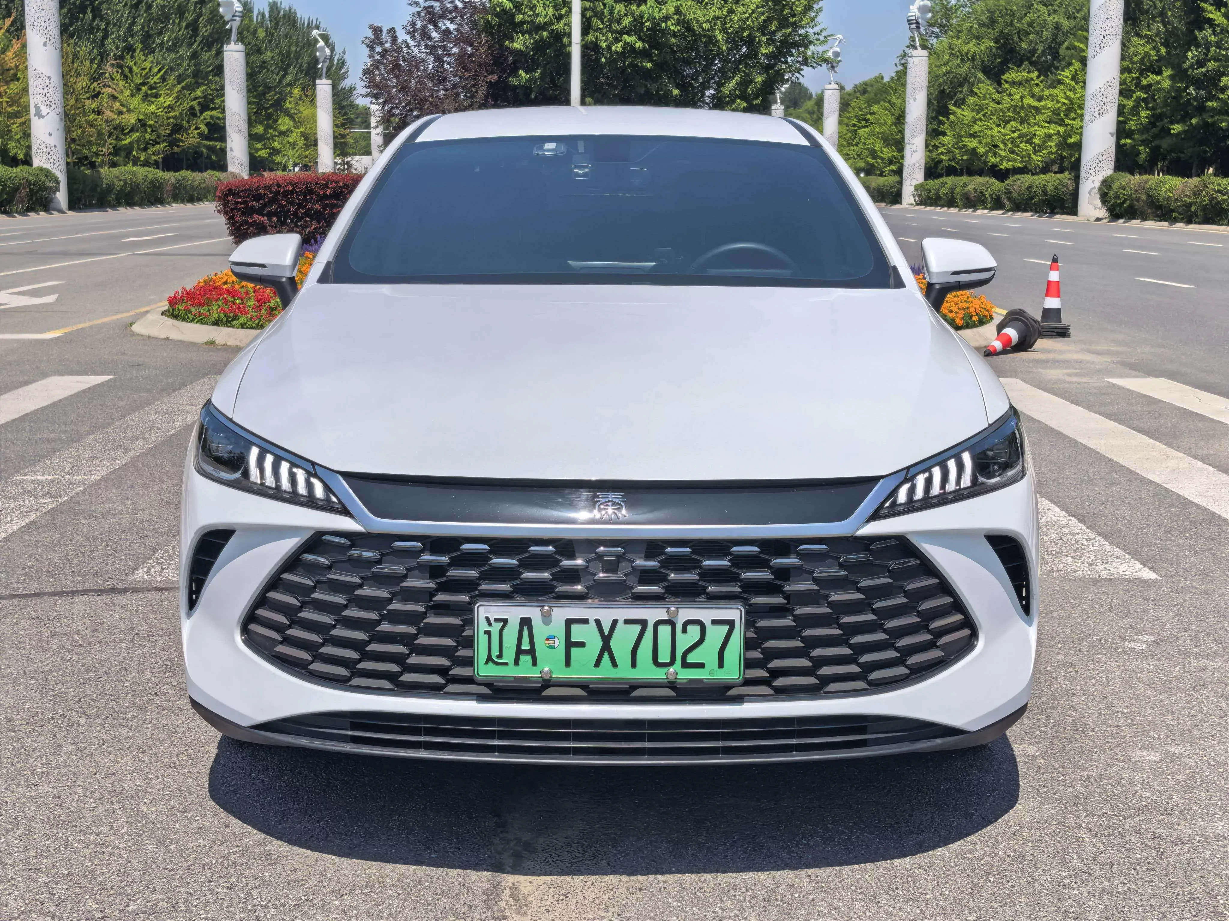BYD Qin PLUS DM