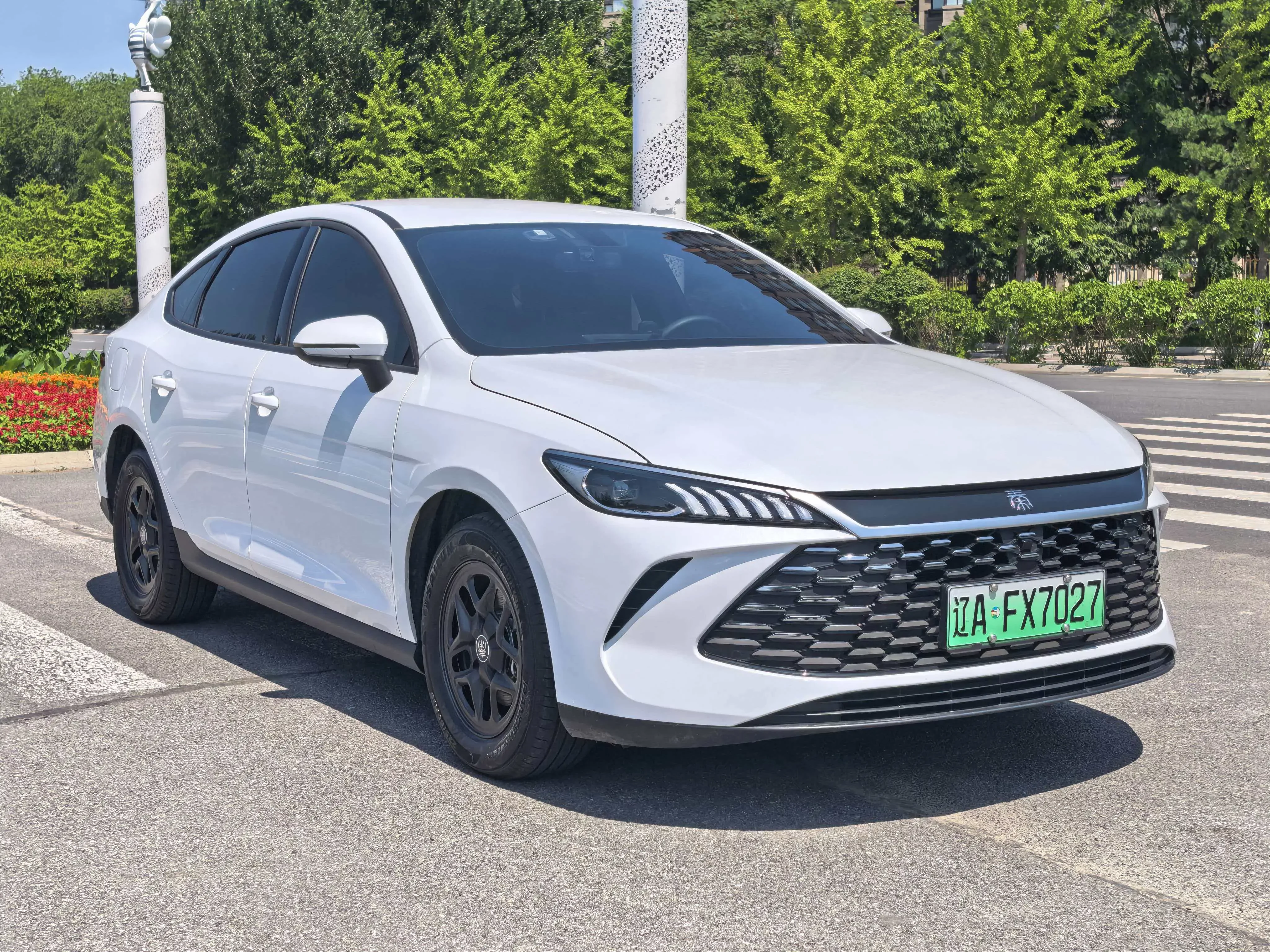BYD Qin PLUS DM
