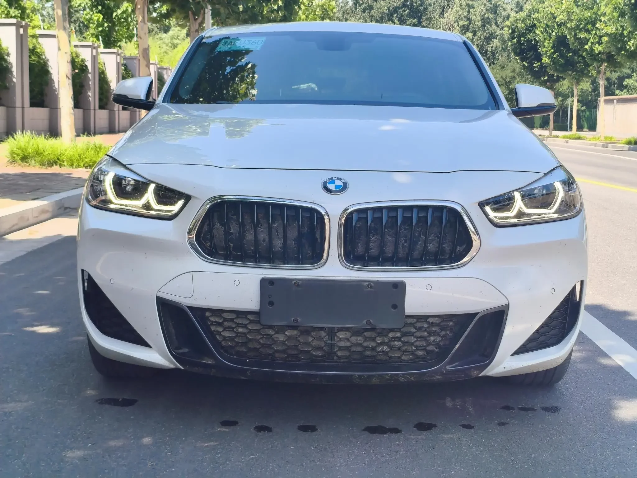 BMW X2