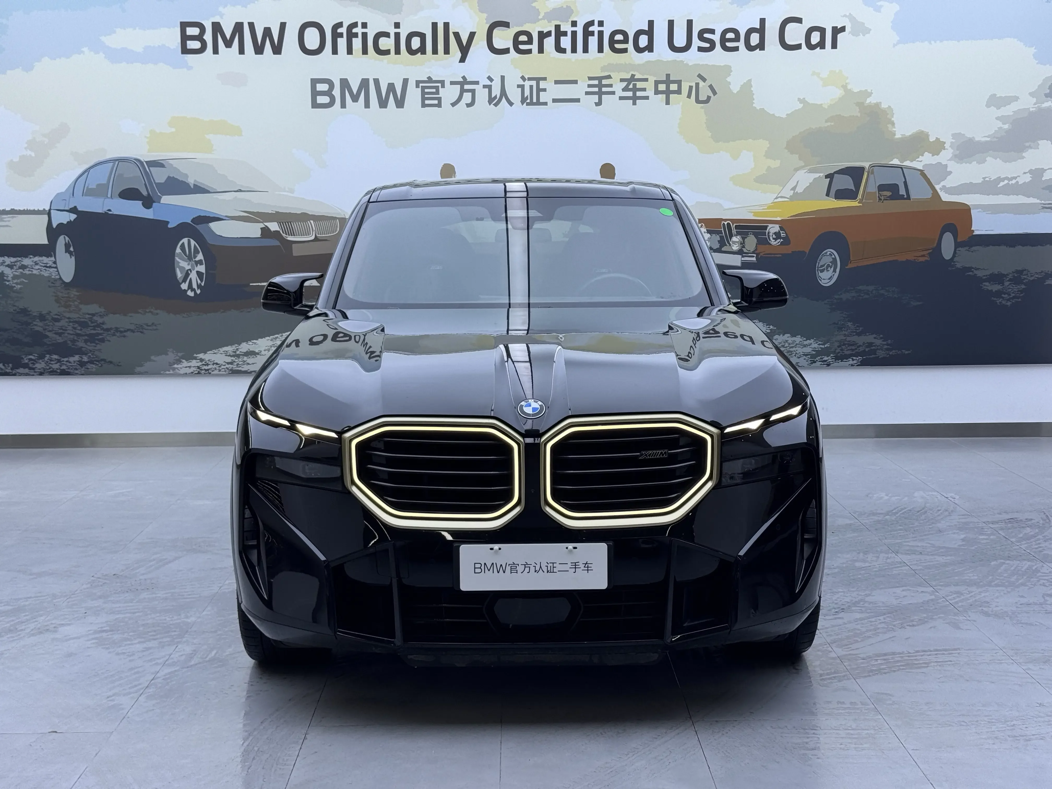 BMW XM