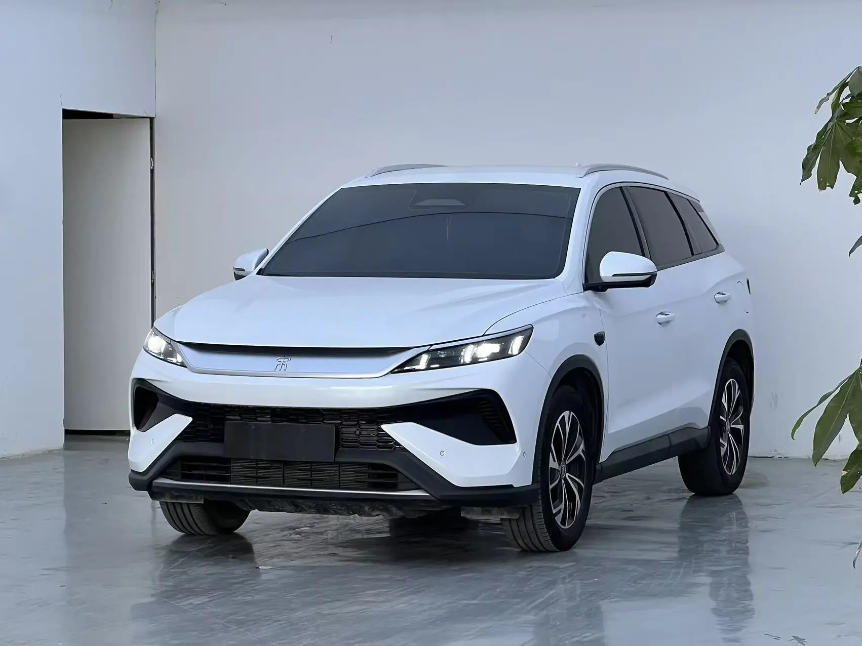 BYD Song Pro DM