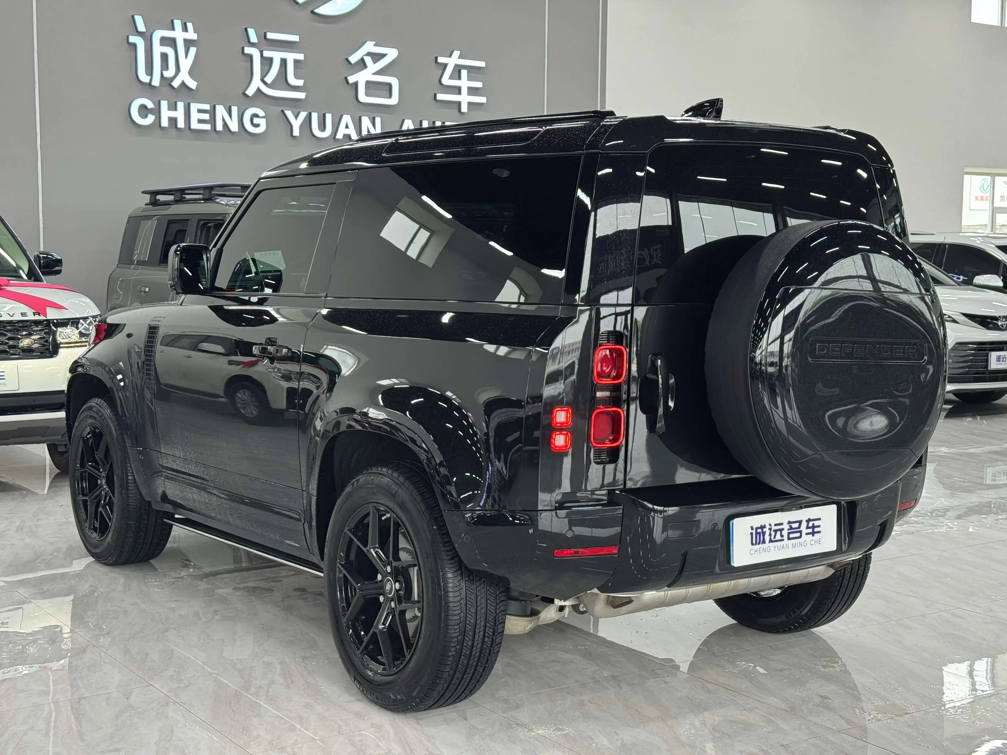 Land Rover guard