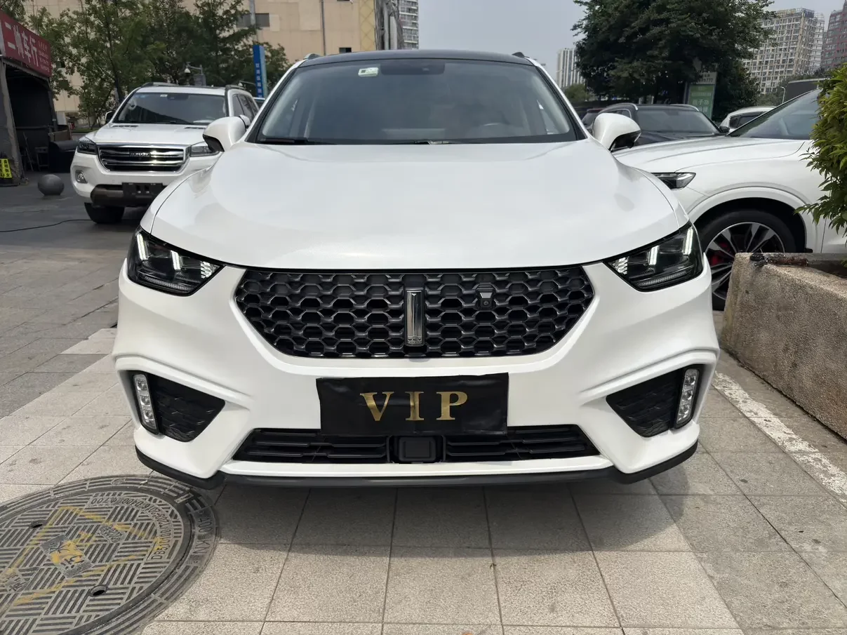 Wey Wei brand VV5