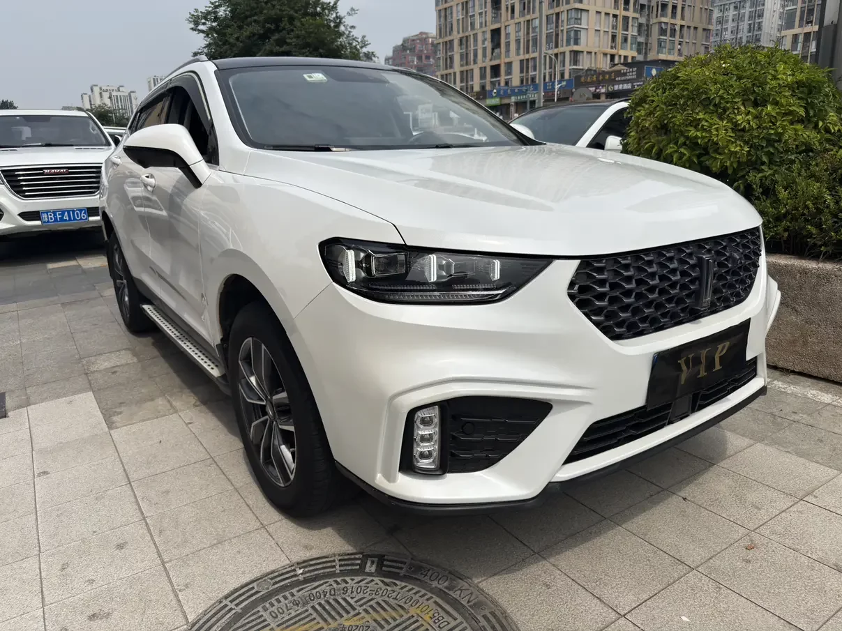 Wey Wei brand VV5