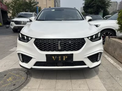 Wey Wei brand VV5