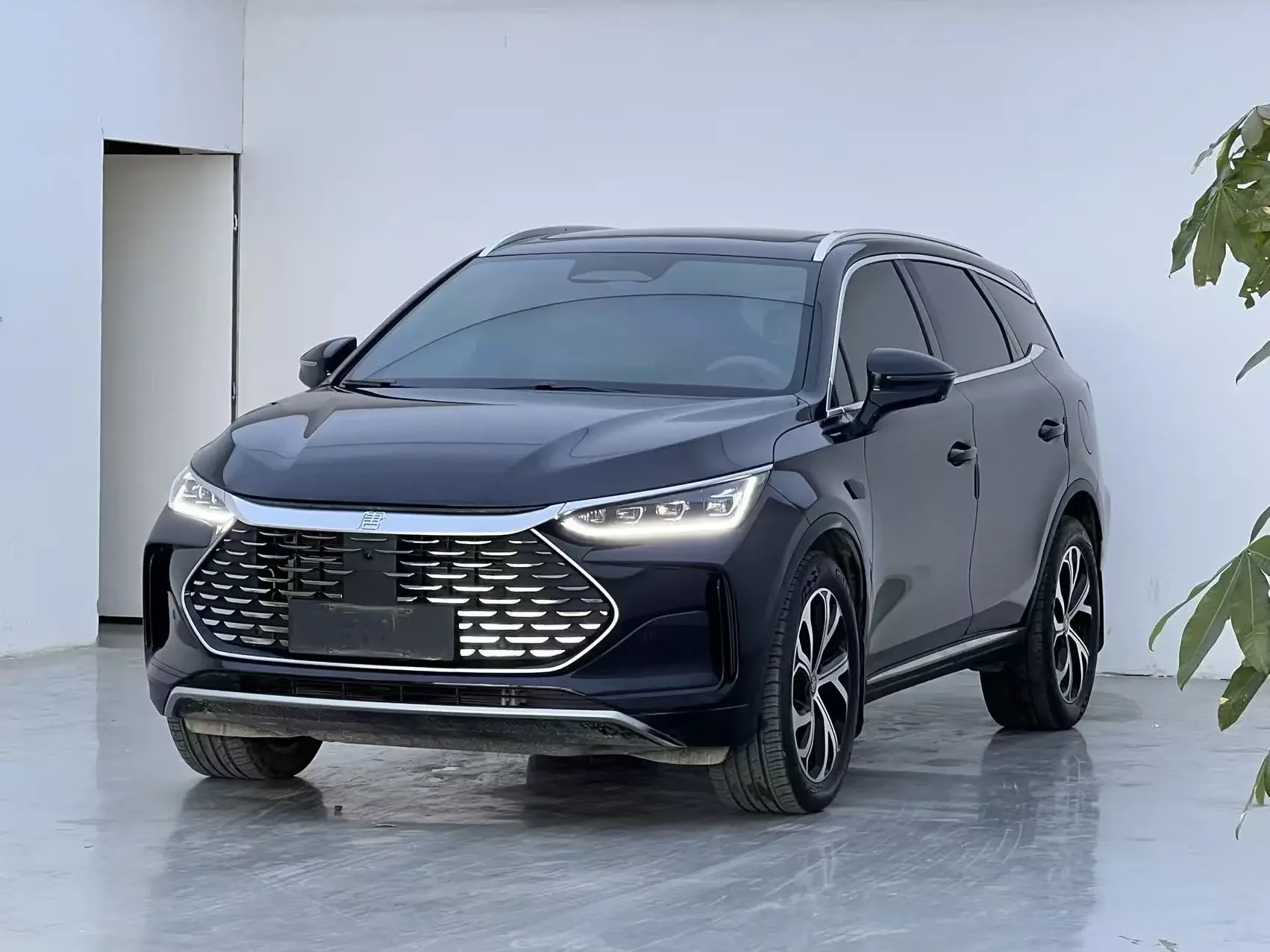 BYD Tang DM