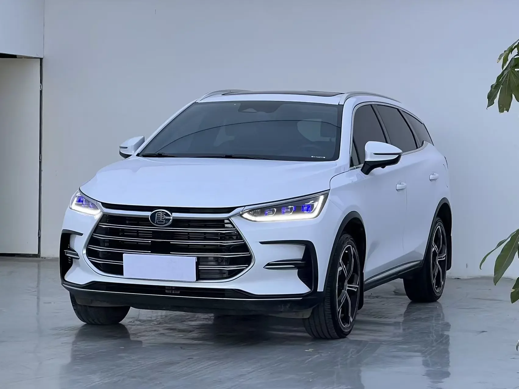 BYD Tang DM
