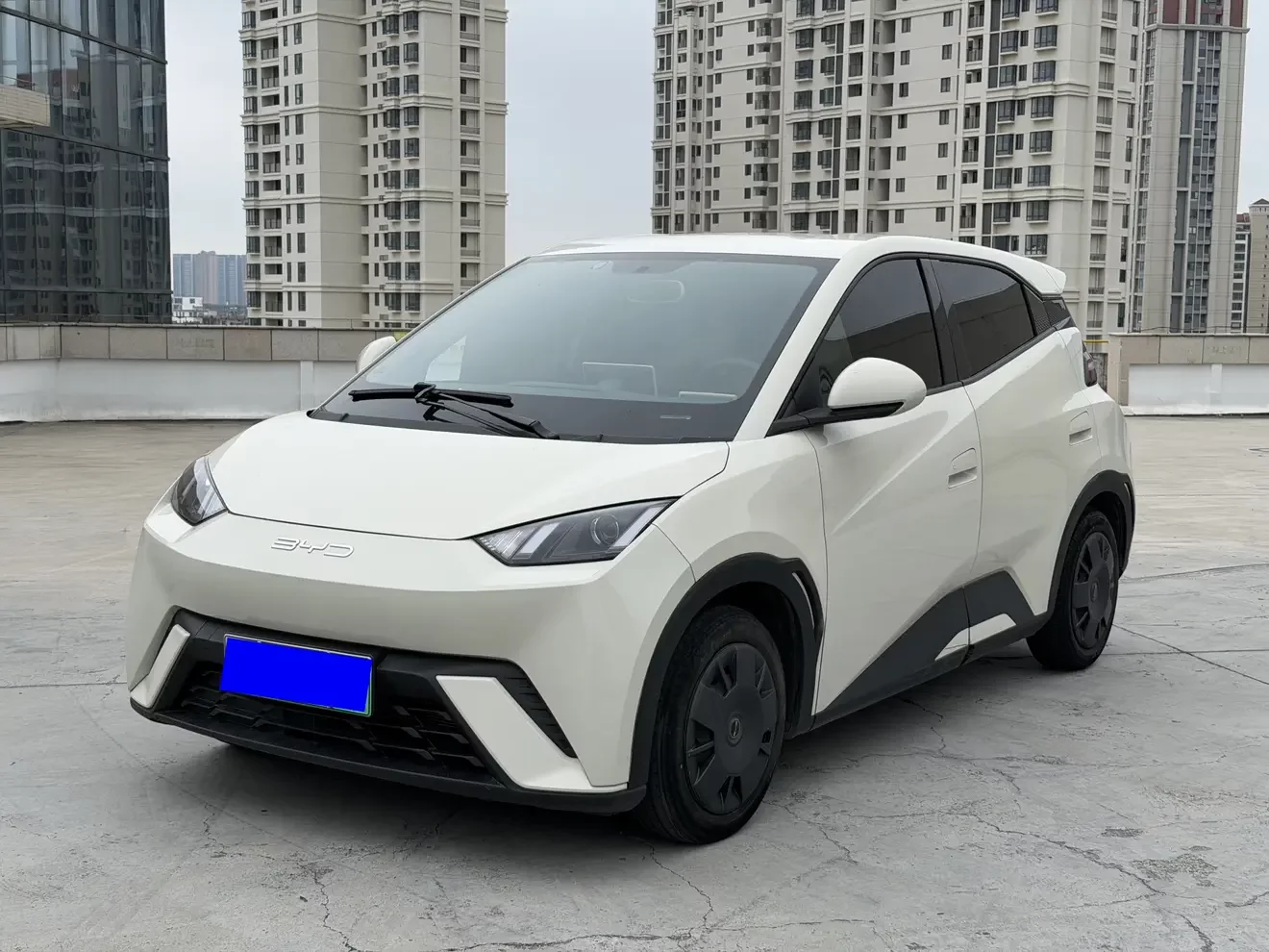 BYD seagull