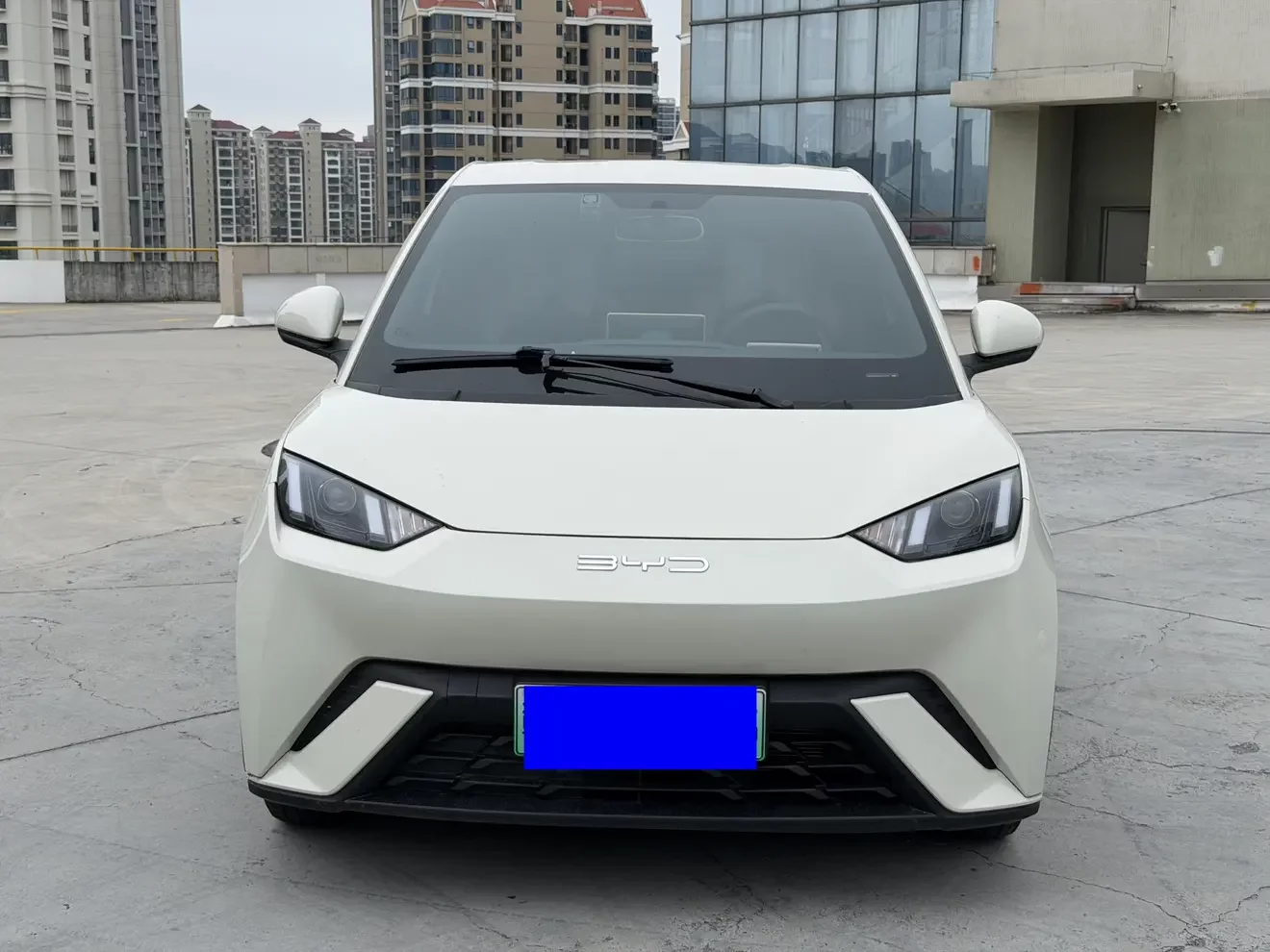 BYD seagull