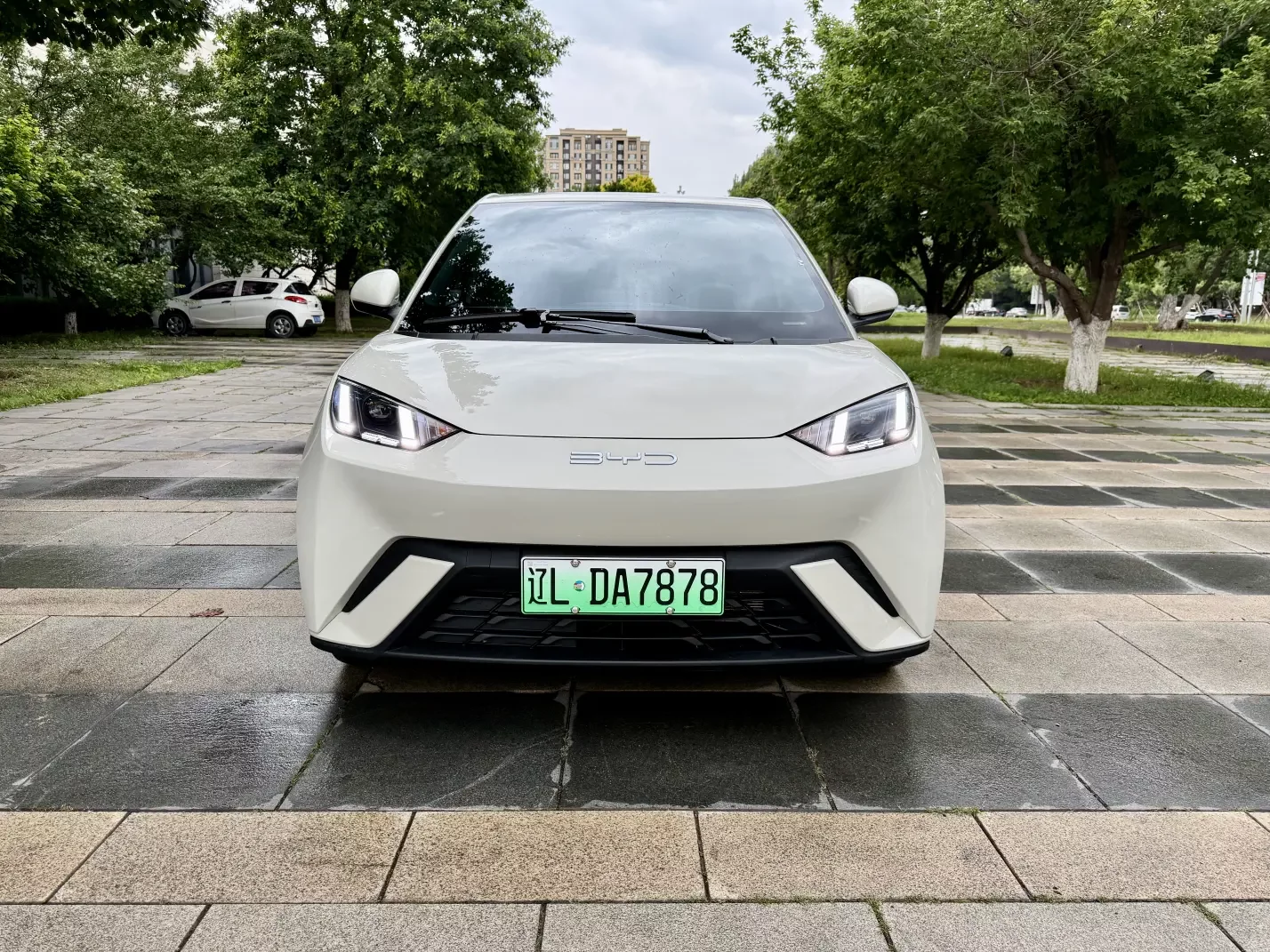BYD seagull