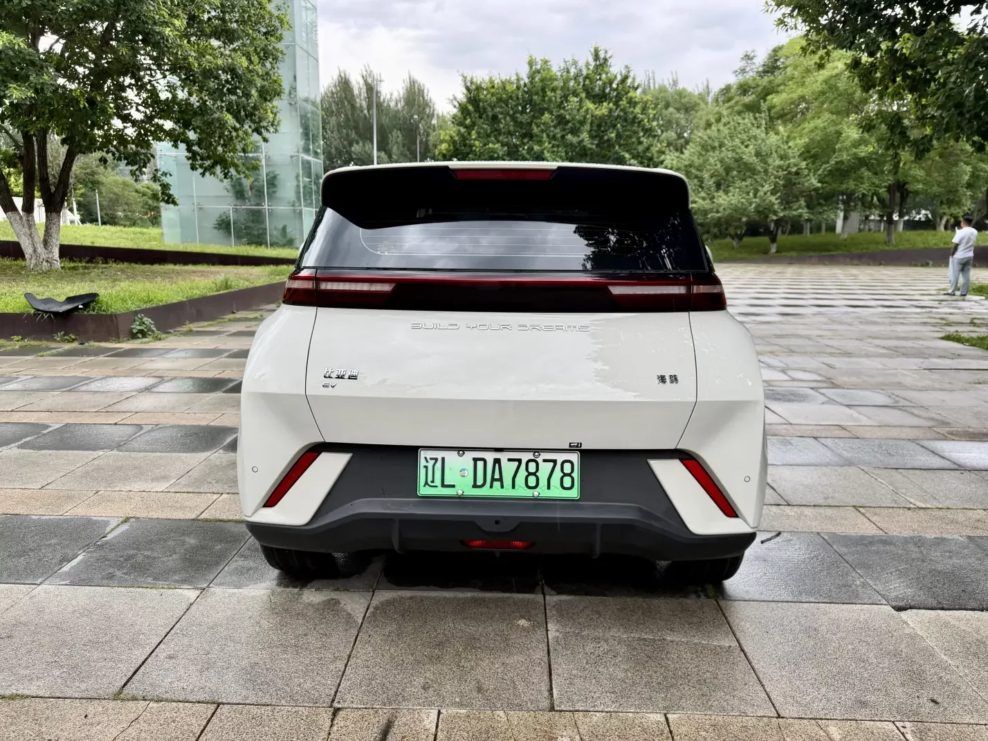 BYD seagull