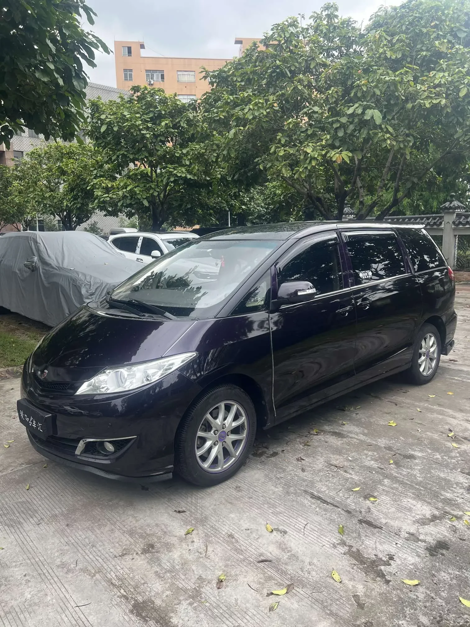 BYD M6