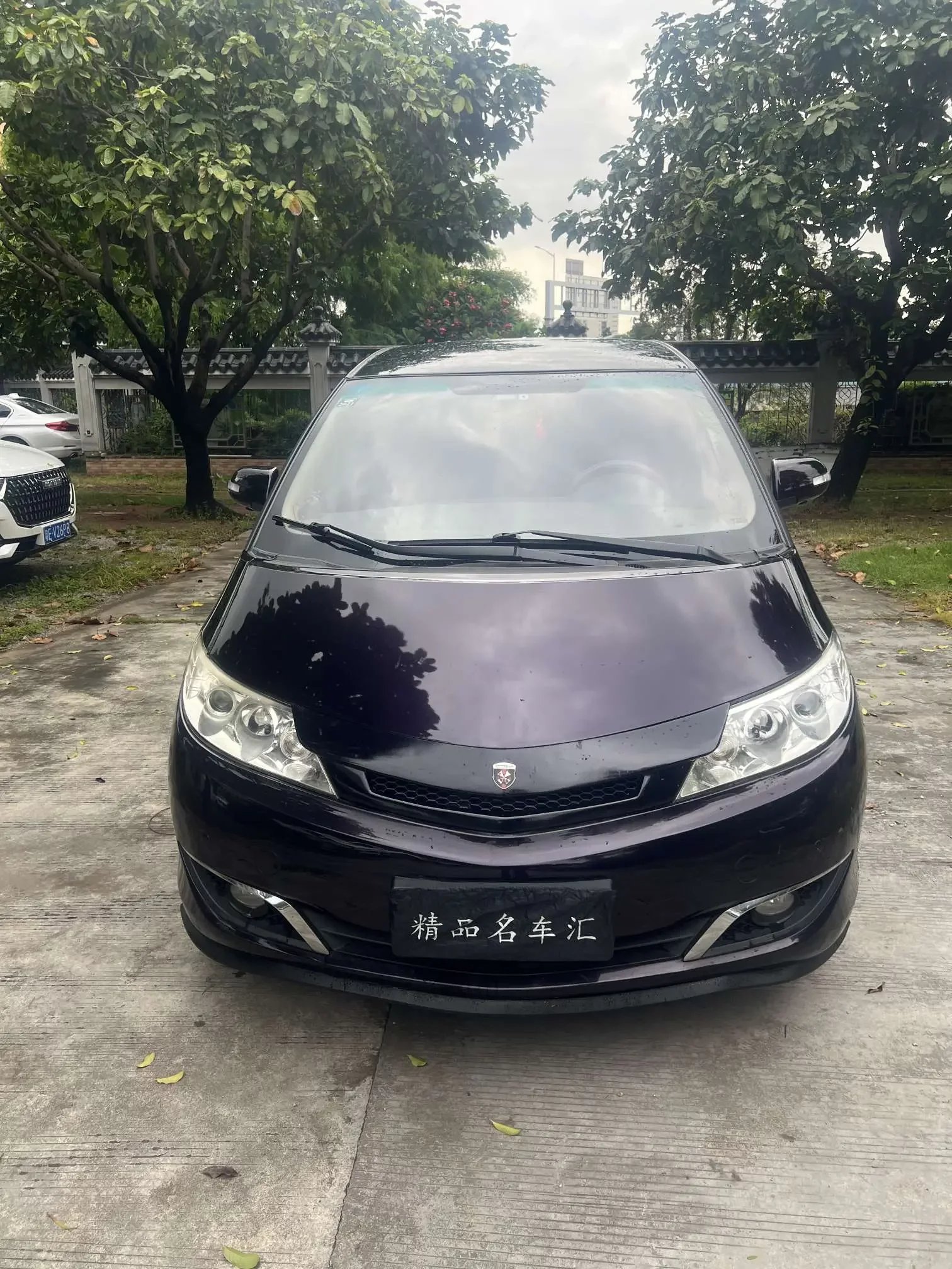 BYD M6