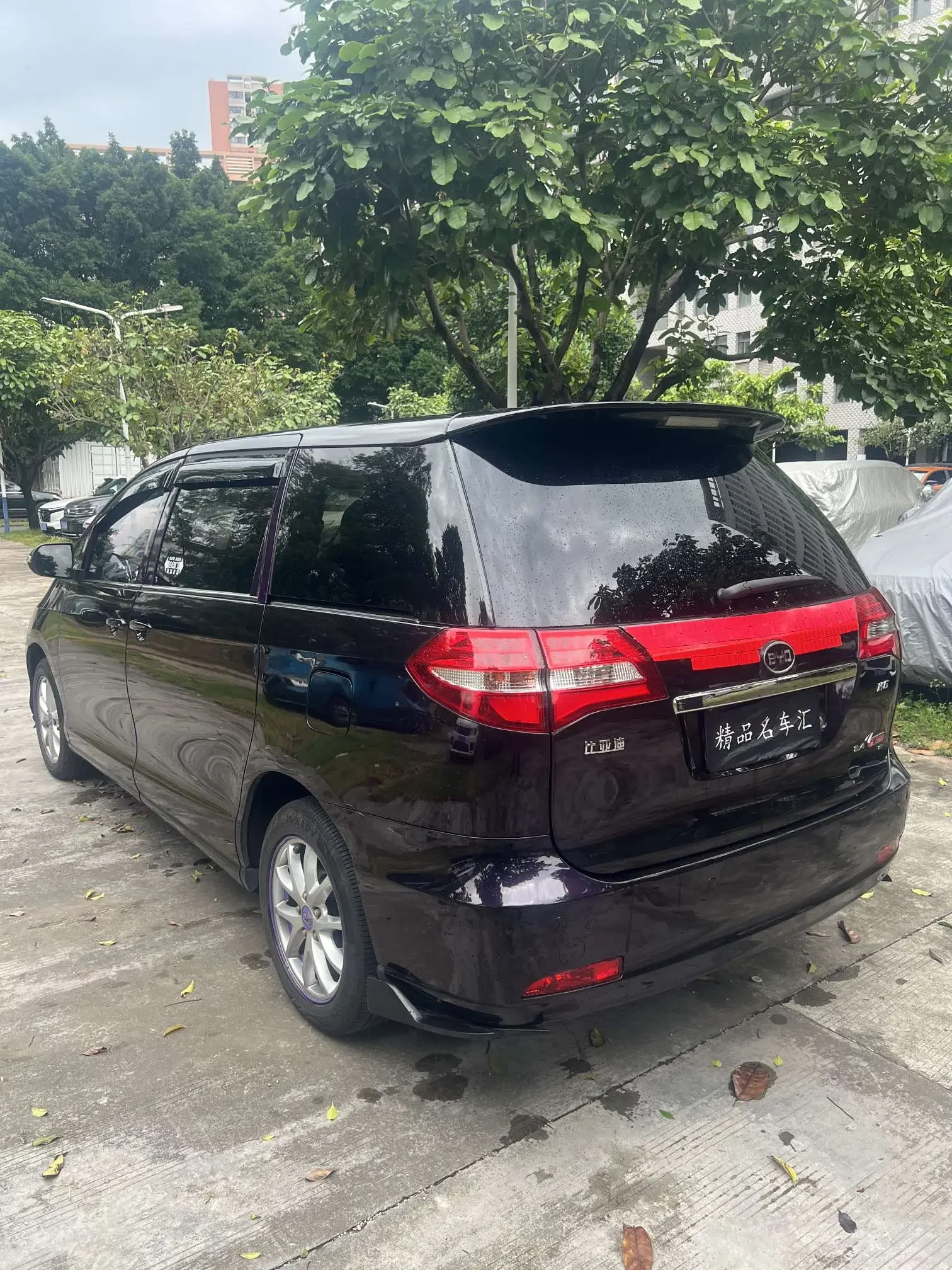 BYD M6