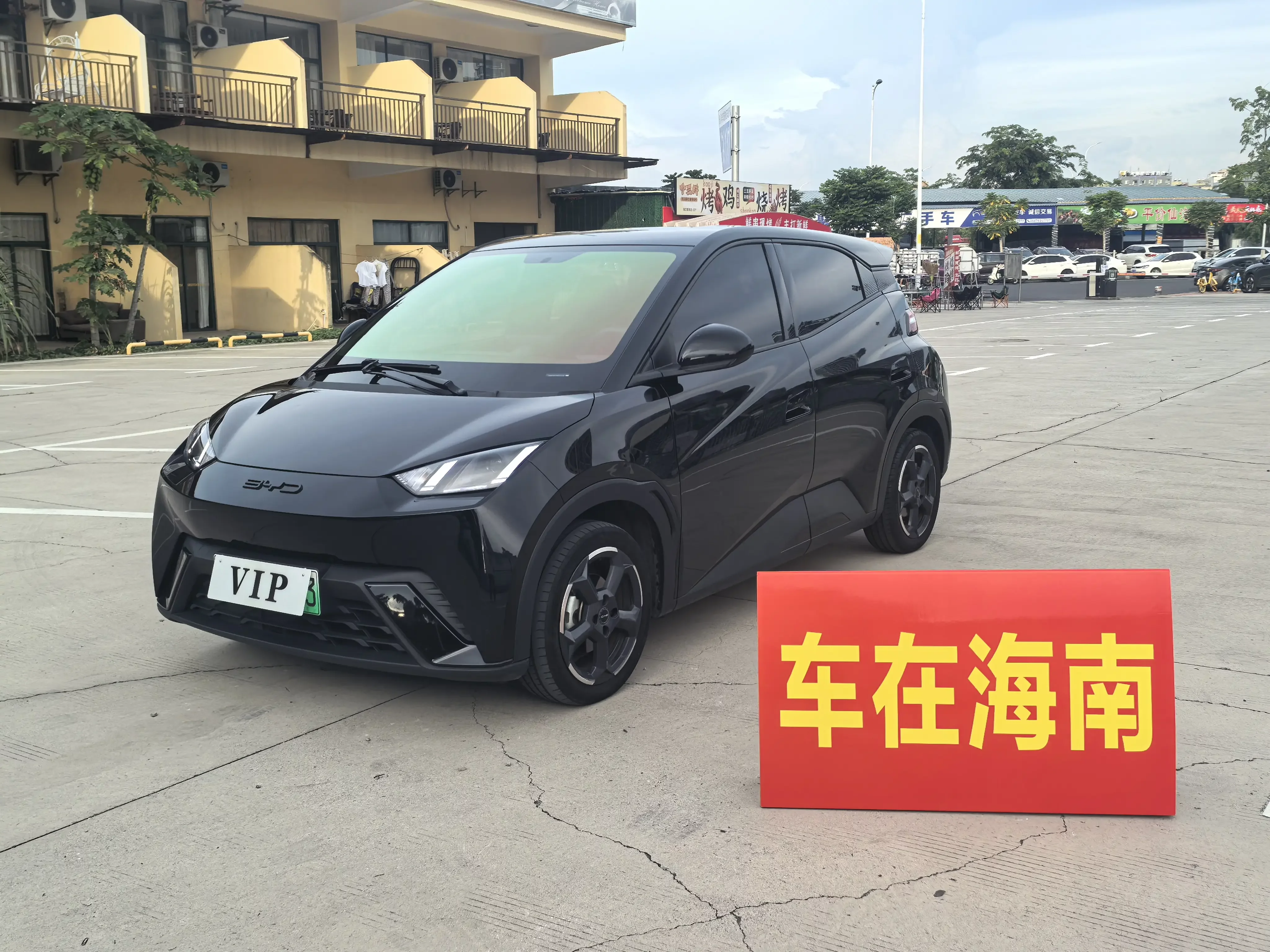 BYD seagull