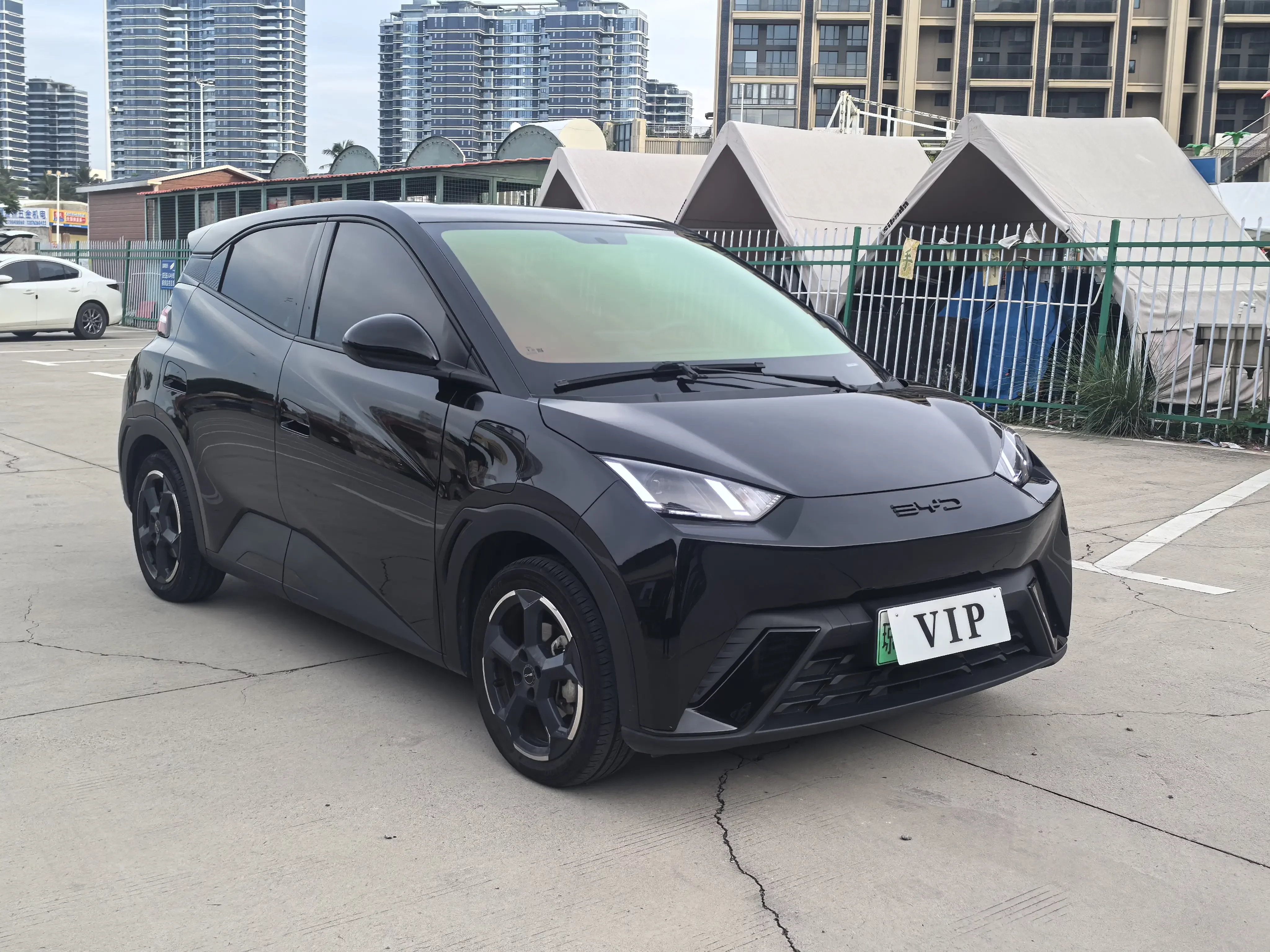 BYD seagull