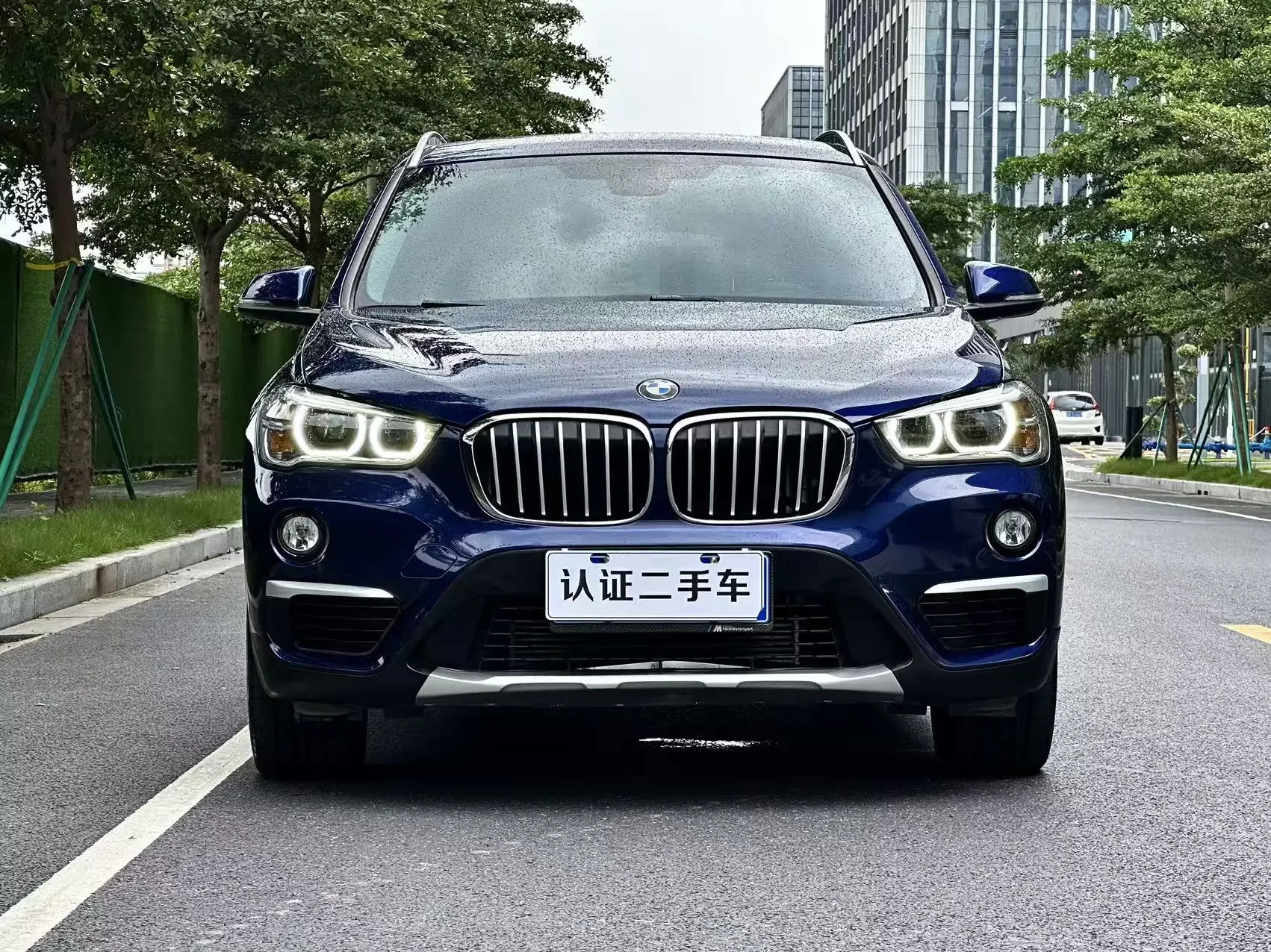 BMW X1  из Китая